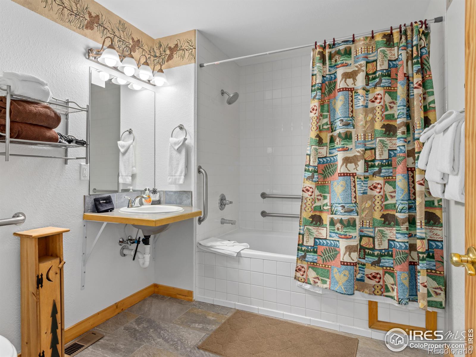 MLS Image #14 for 1480  david drive,estes park, Colorado