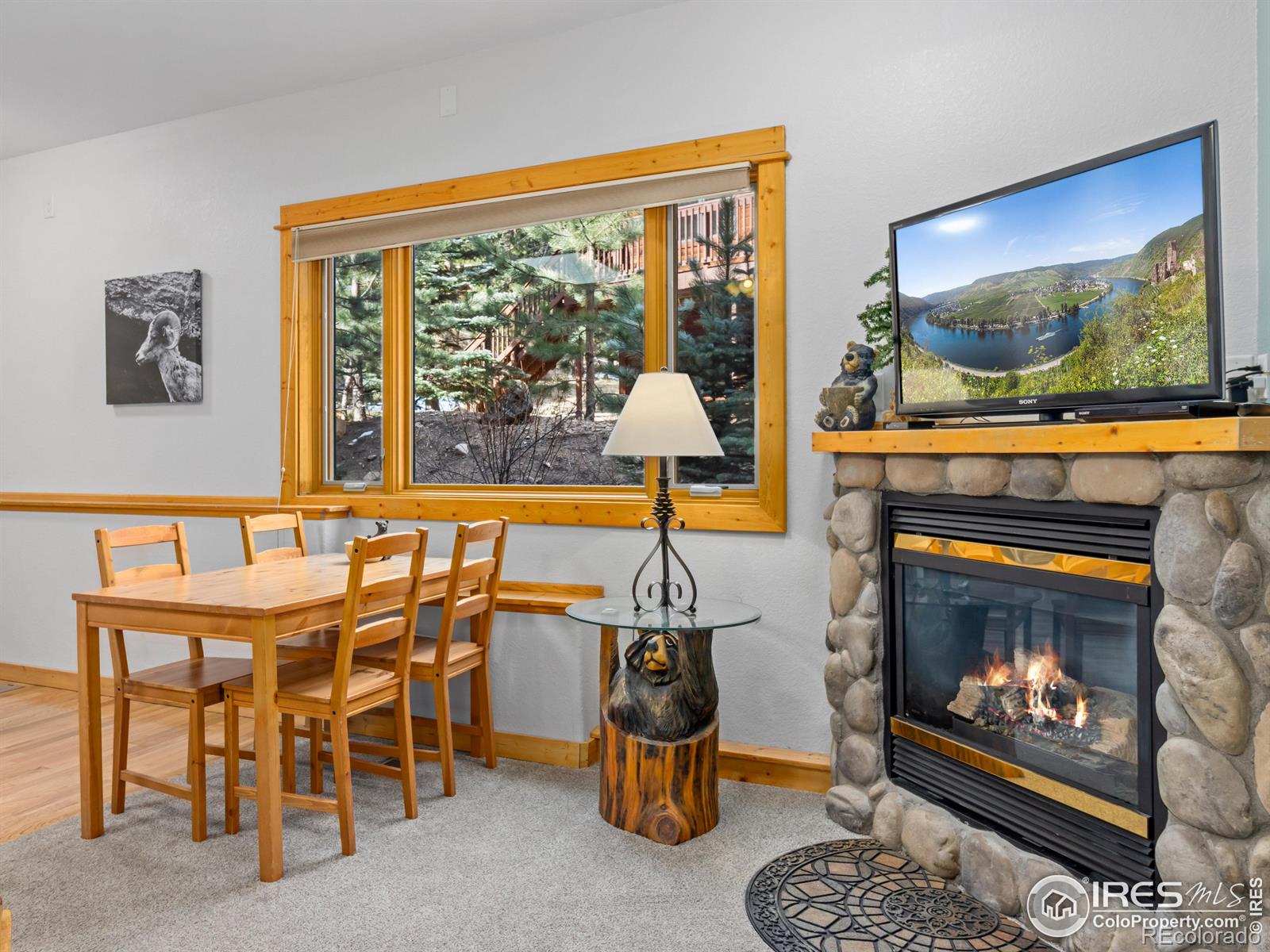 MLS Image #7 for 1480  david drive,estes park, Colorado