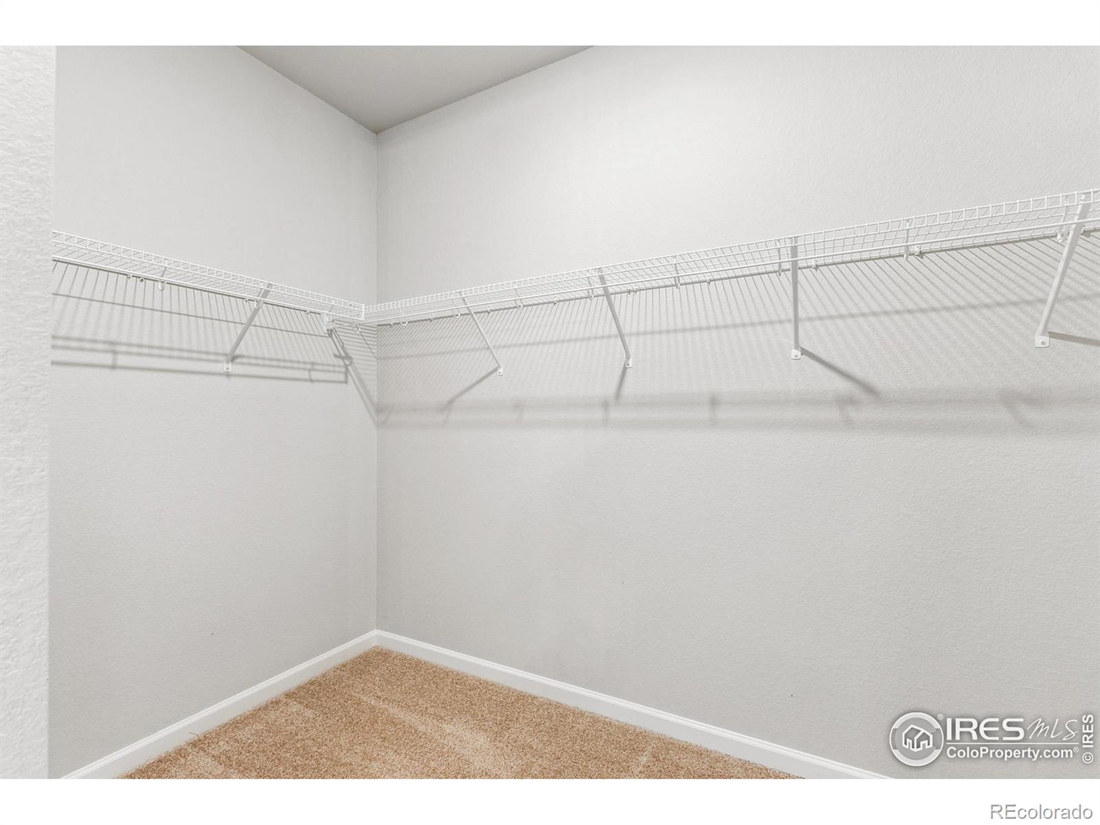 MLS Image #7 for 971  cascade falls street,severance, Colorado