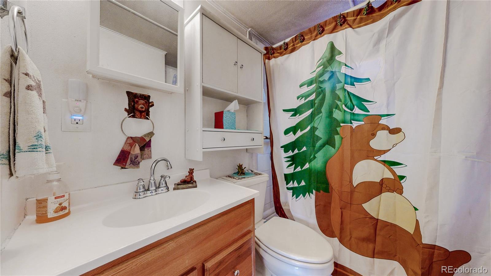 MLS Image #4 for 16420 w county road 74e ,livermore, Colorado