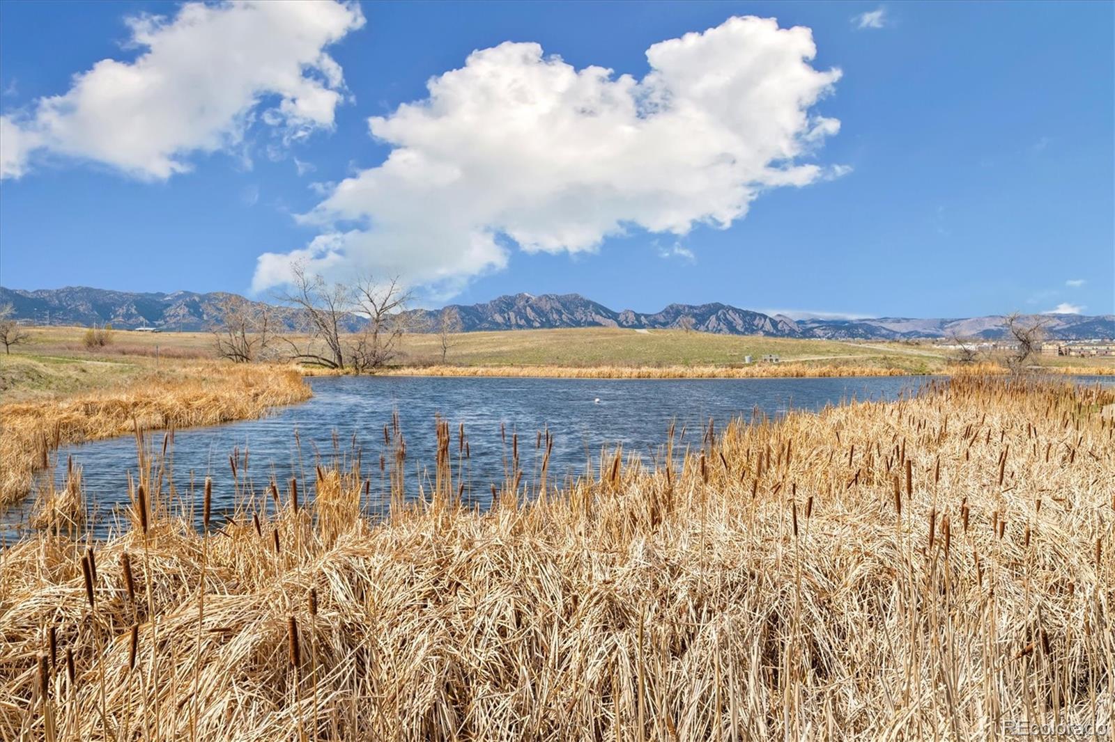 MLS Image #34 for 1049  lilac street,broomfield, Colorado