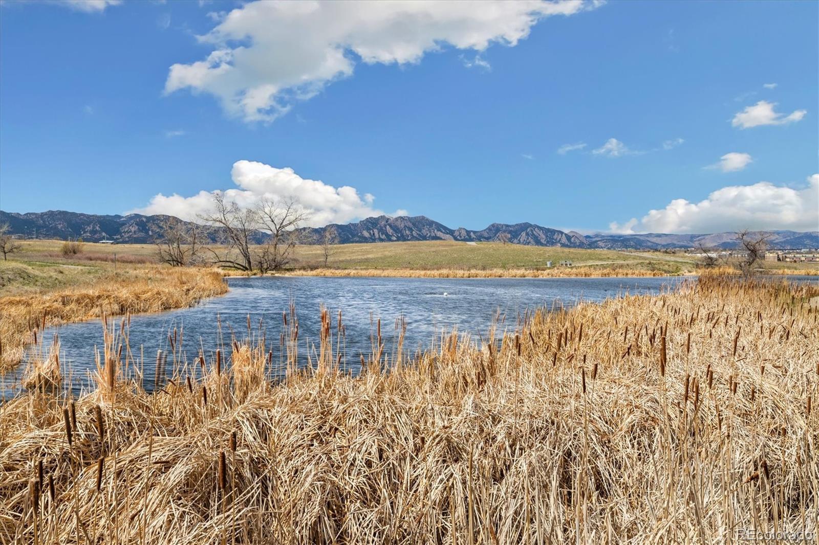 MLS Image #35 for 1049  lilac street,broomfield, Colorado