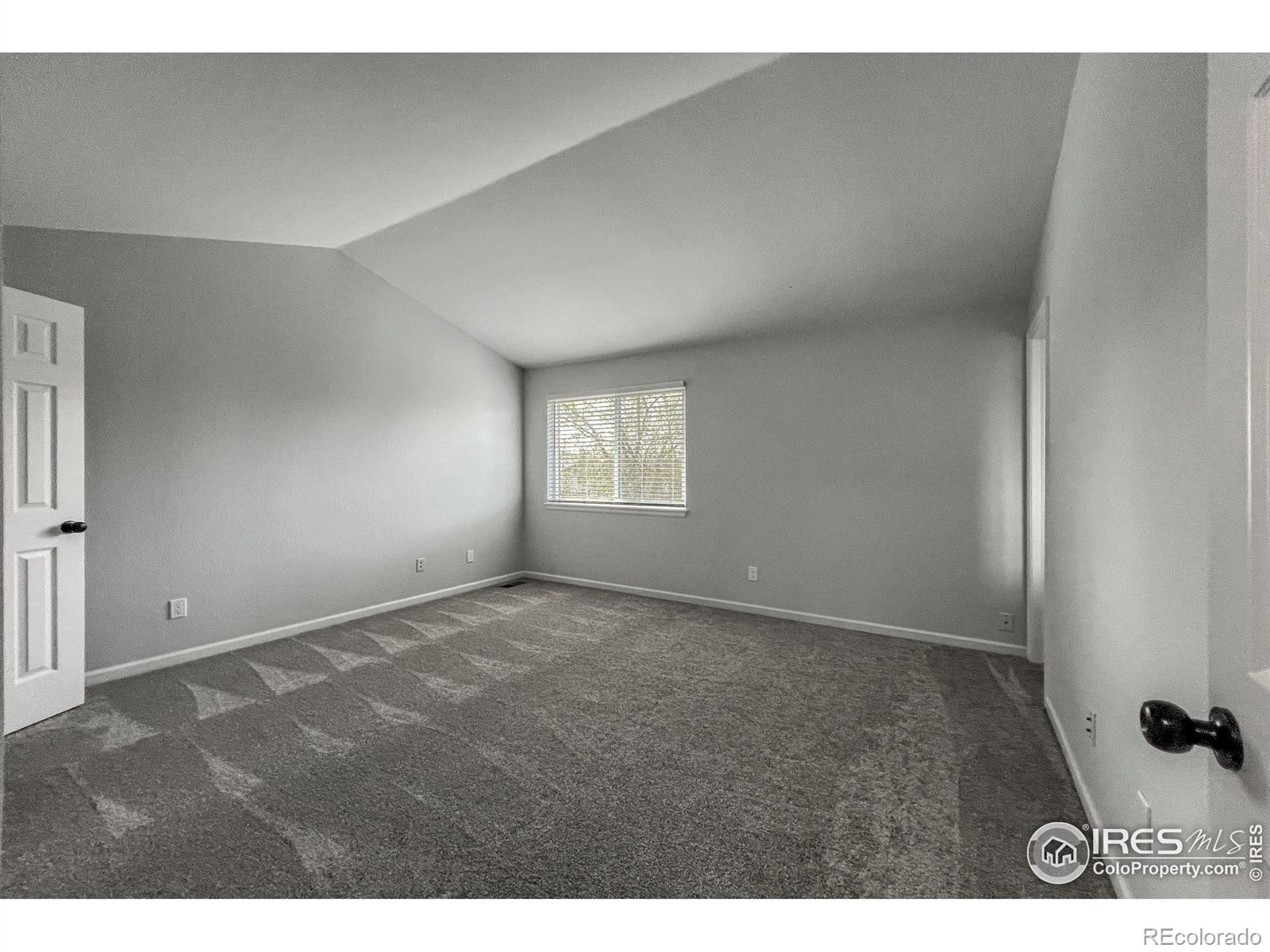 MLS Image #20 for 1219  cedarwood drive,longmont, Colorado