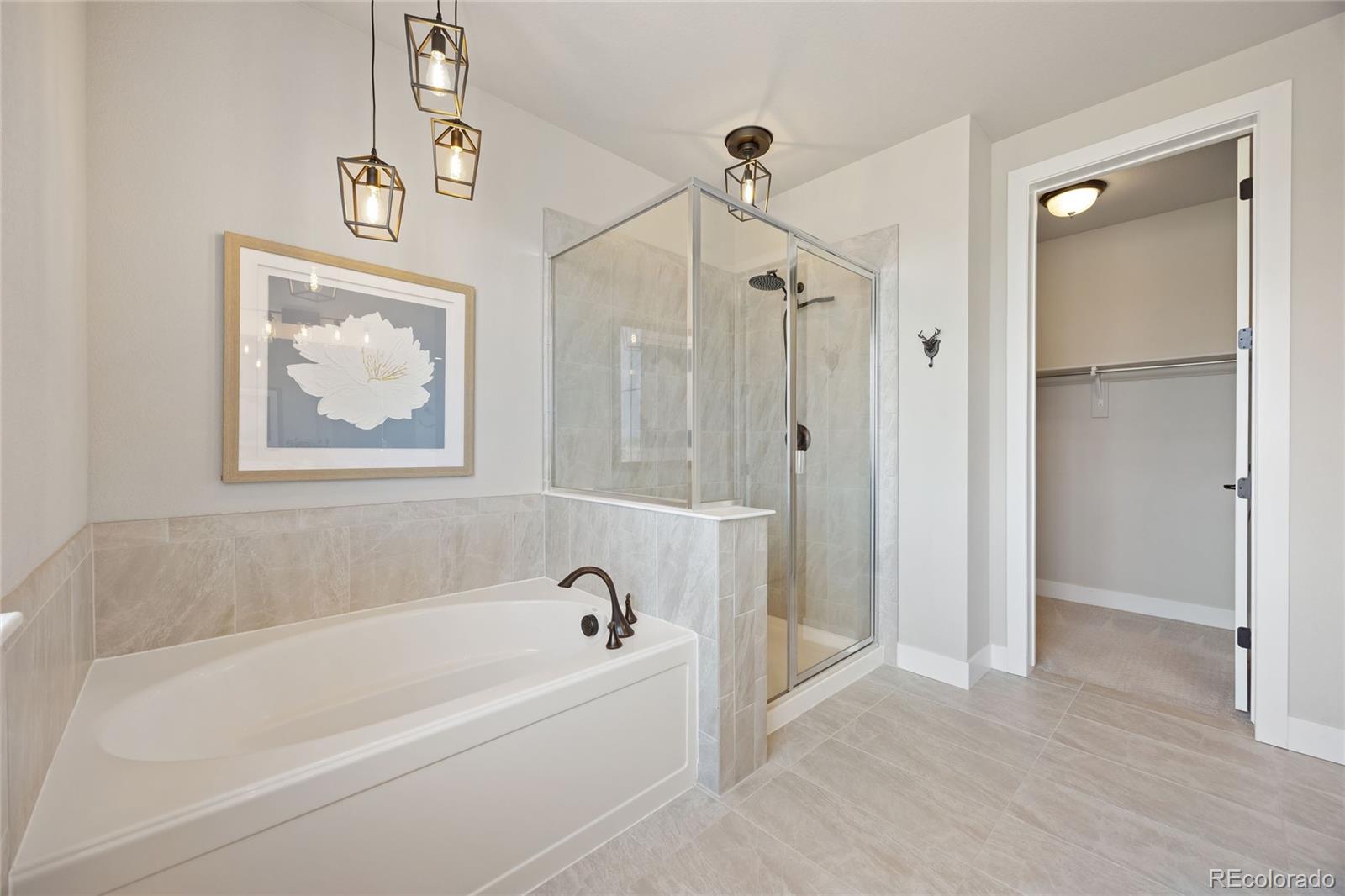 MLS Image #21 for 12649  buffington trail,parker, Colorado