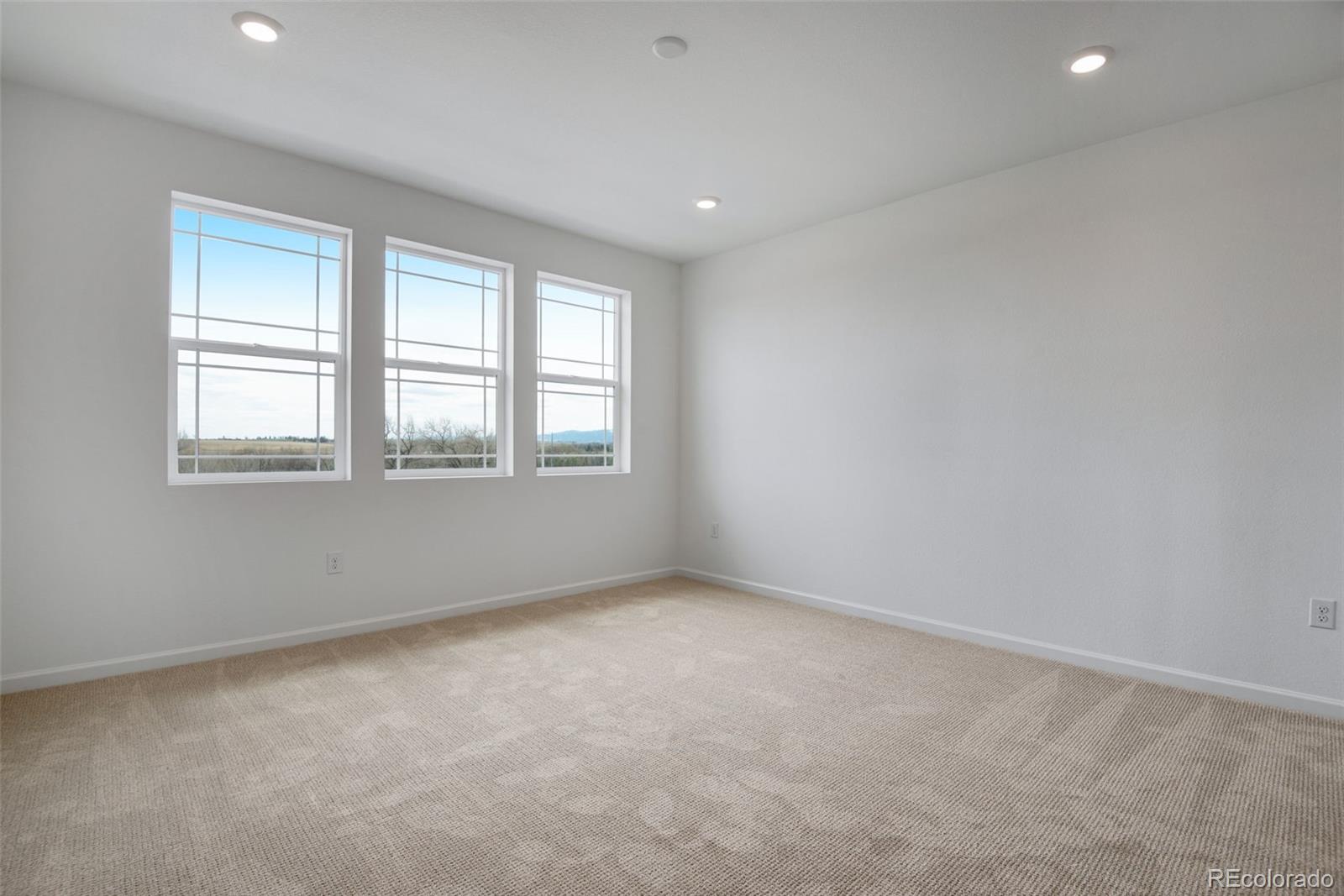 MLS Image #27 for 1426  hudson place,longmont, Colorado