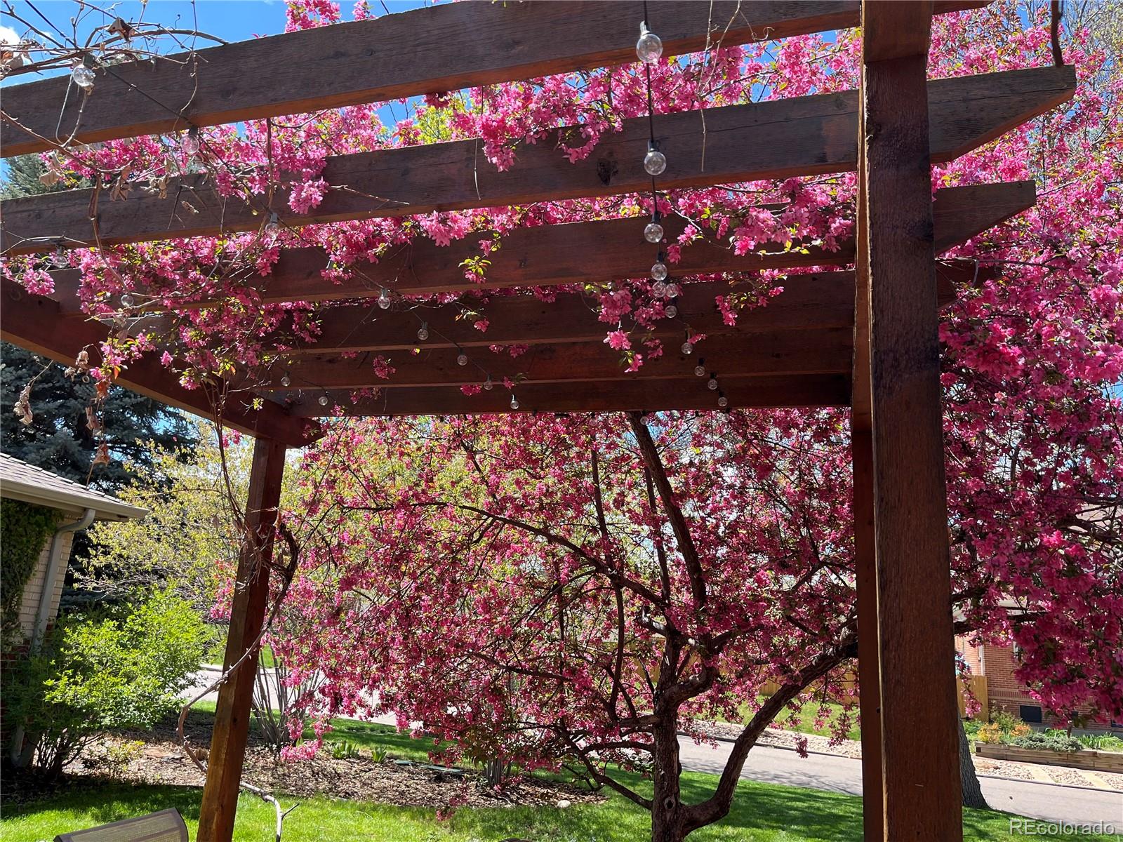 MLS Image #25 for 3540  vrain street,denver, Colorado