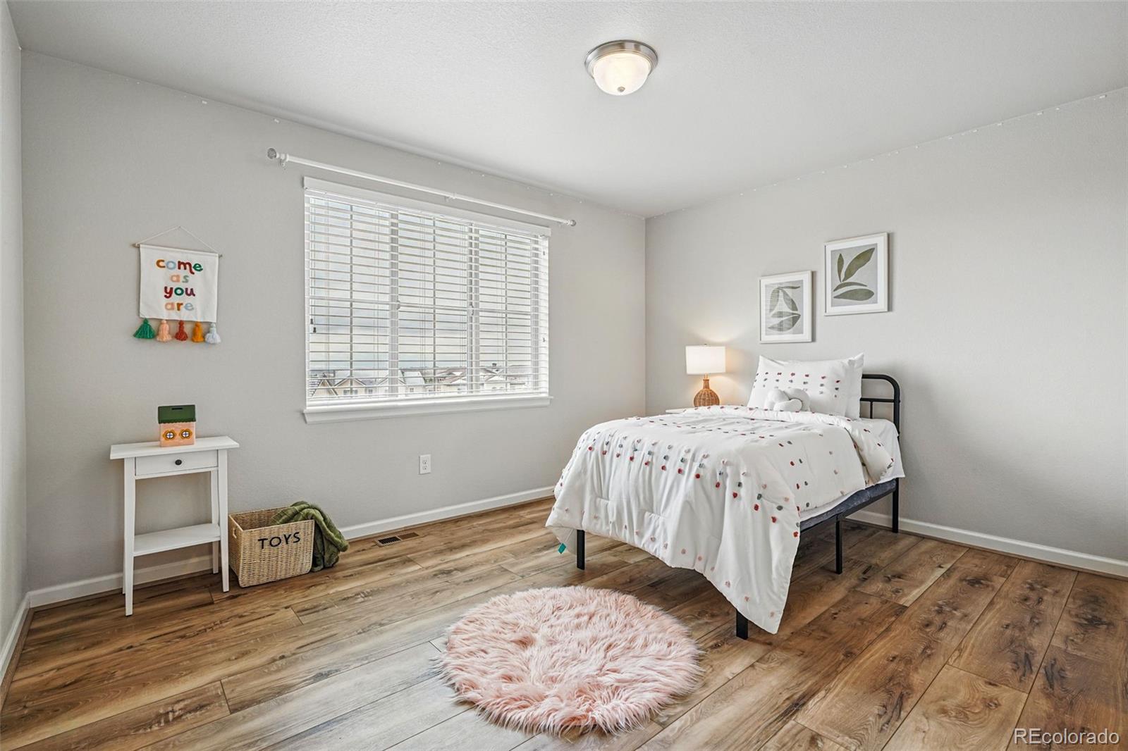 MLS Image #24 for 2562 s kendrick street,denver, Colorado