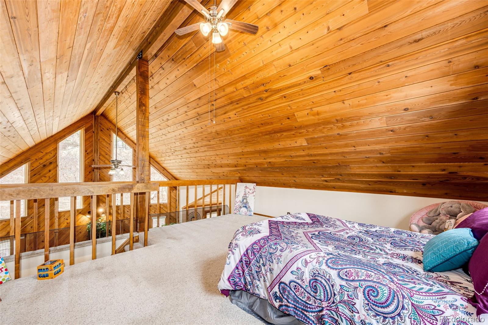 MLS Image #25 for 530  windmill road,castle rock, Colorado