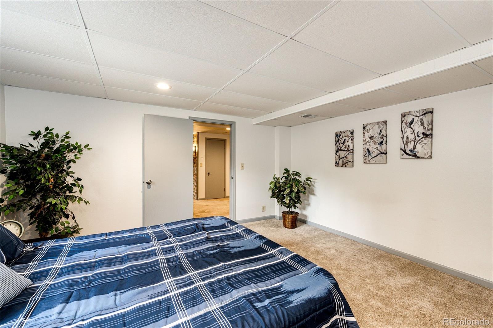 MLS Image #30 for 530  windmill road,castle rock, Colorado
