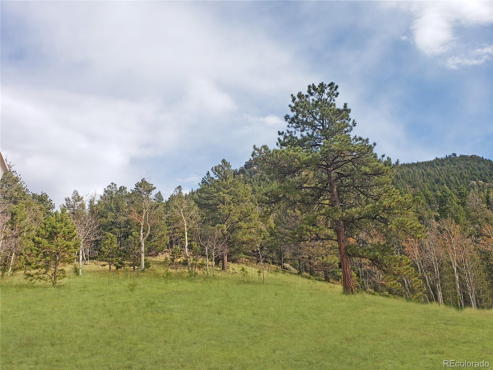 CMA Image for 121  Broken Arrow Path,Lake George, Colorado