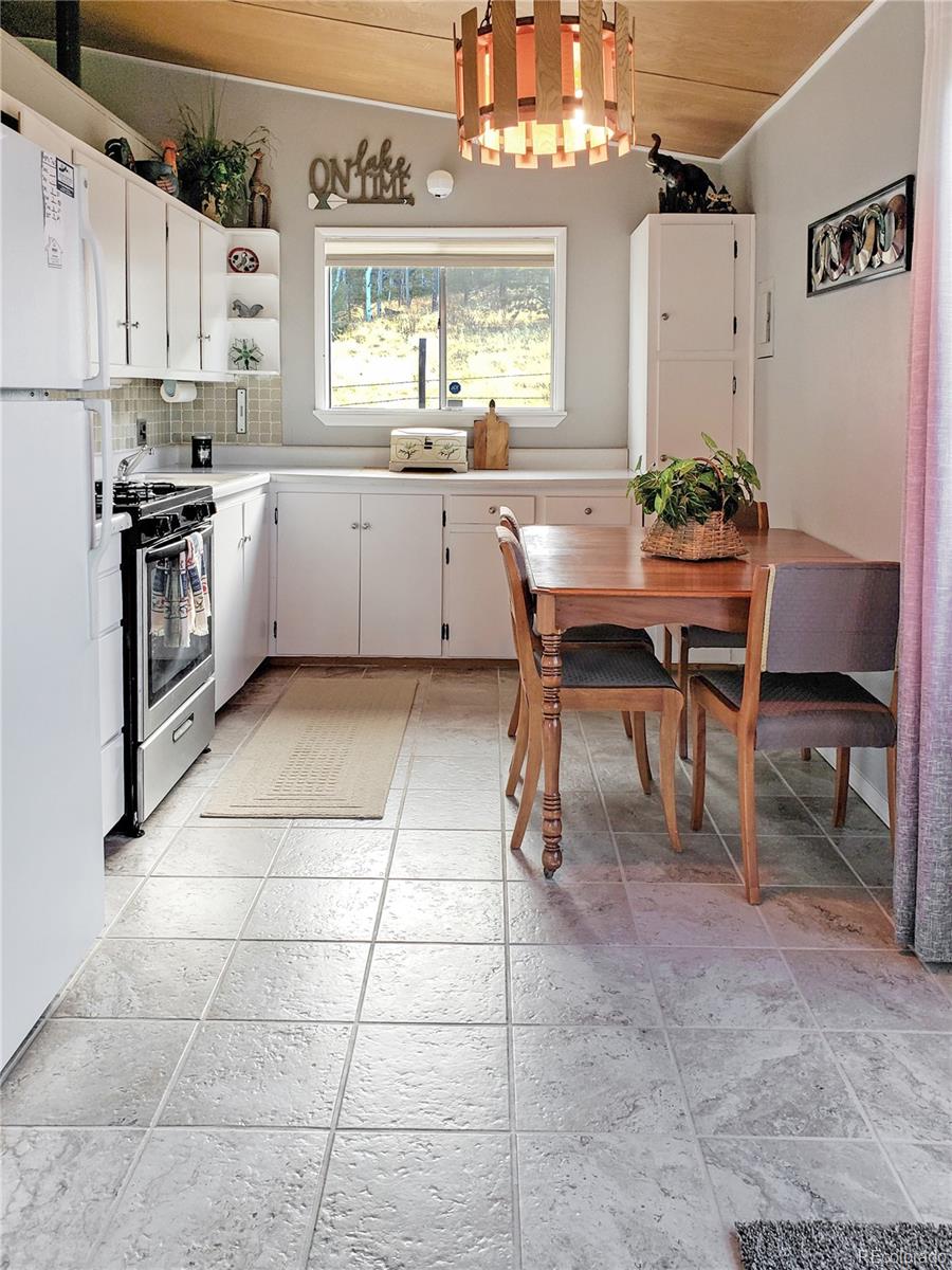 MLS Image #10 for 121  broken arrow path,lake george, Colorado