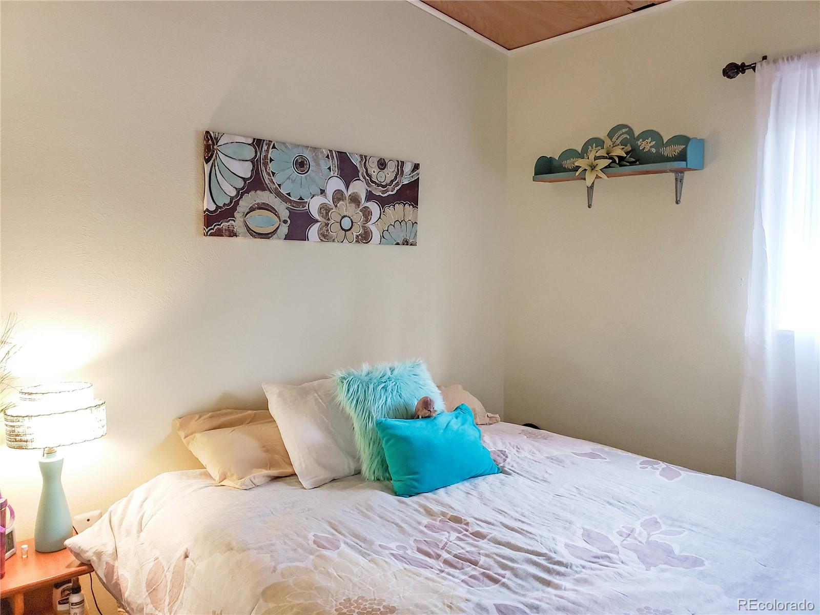 MLS Image #12 for 121  broken arrow path,lake george, Colorado
