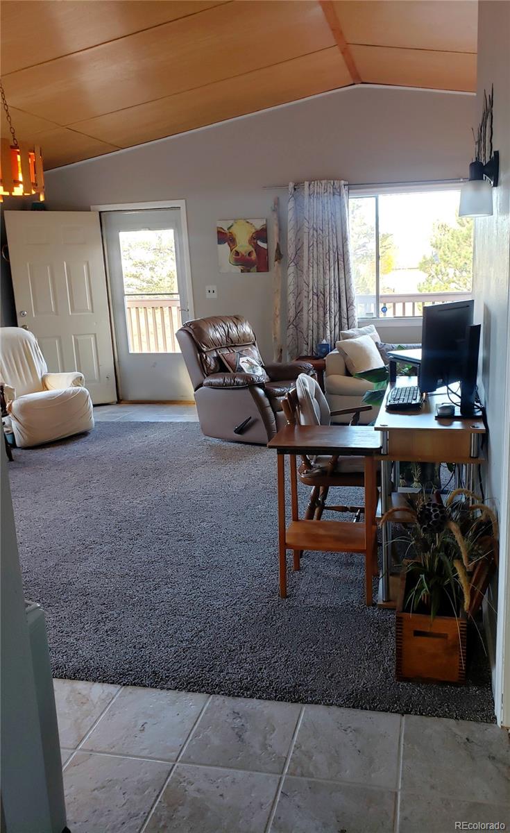 MLS Image #19 for 121  broken arrow path,lake george, Colorado