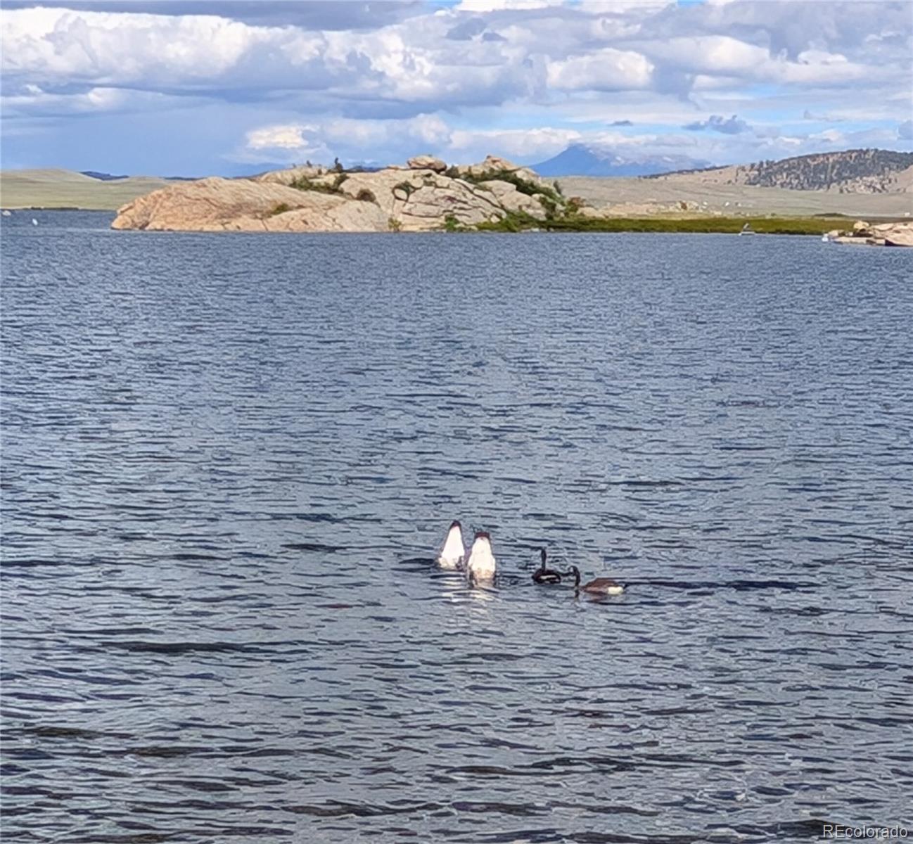 MLS Image #20 for 121  broken arrow path,lake george, Colorado