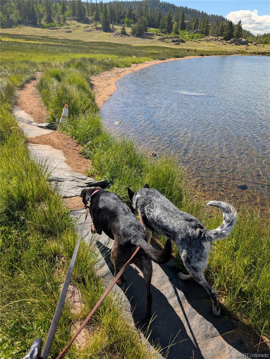 MLS Image #24 for 121  broken arrow path,lake george, Colorado