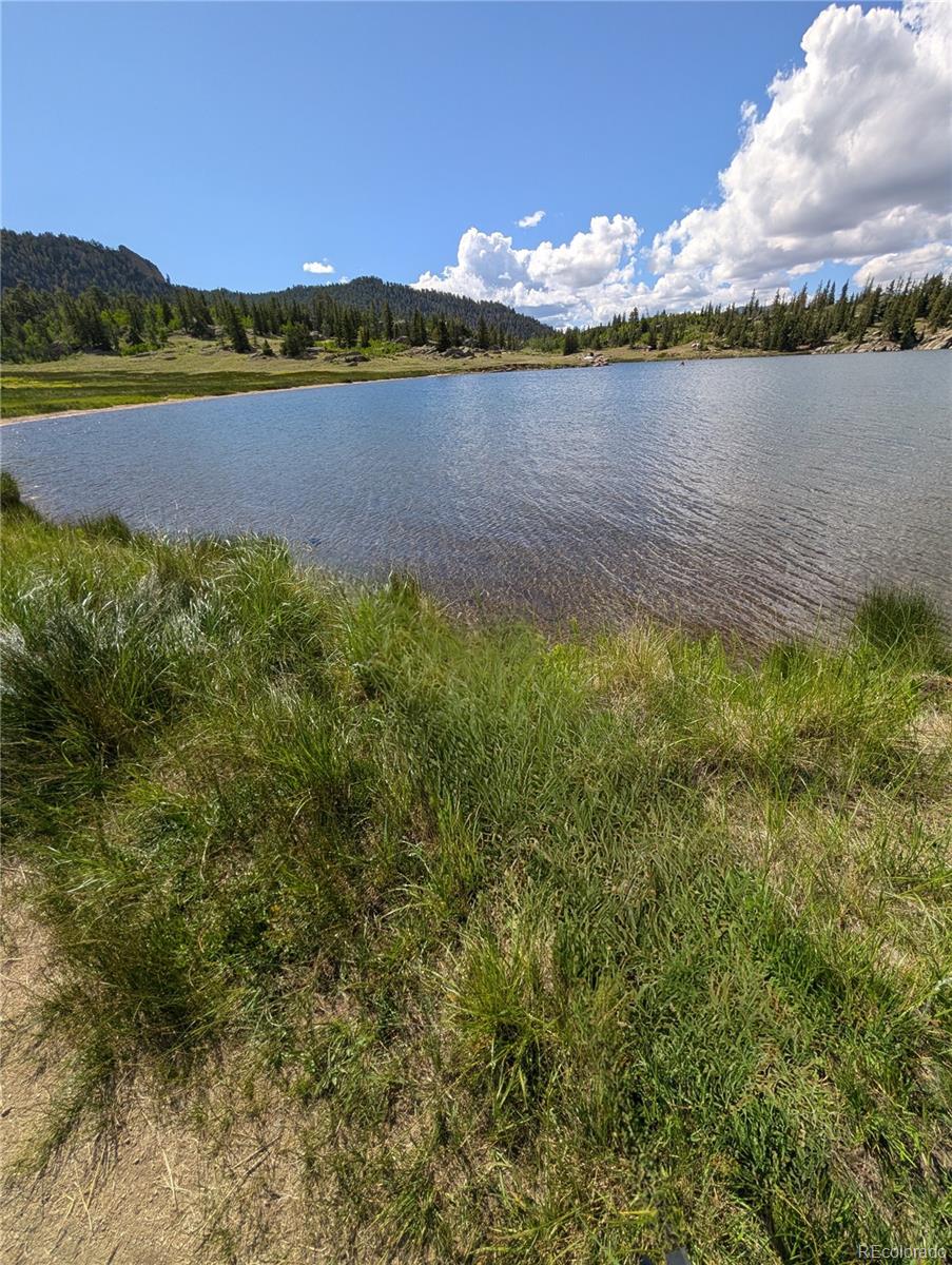 MLS Image #26 for 121  broken arrow path,lake george, Colorado