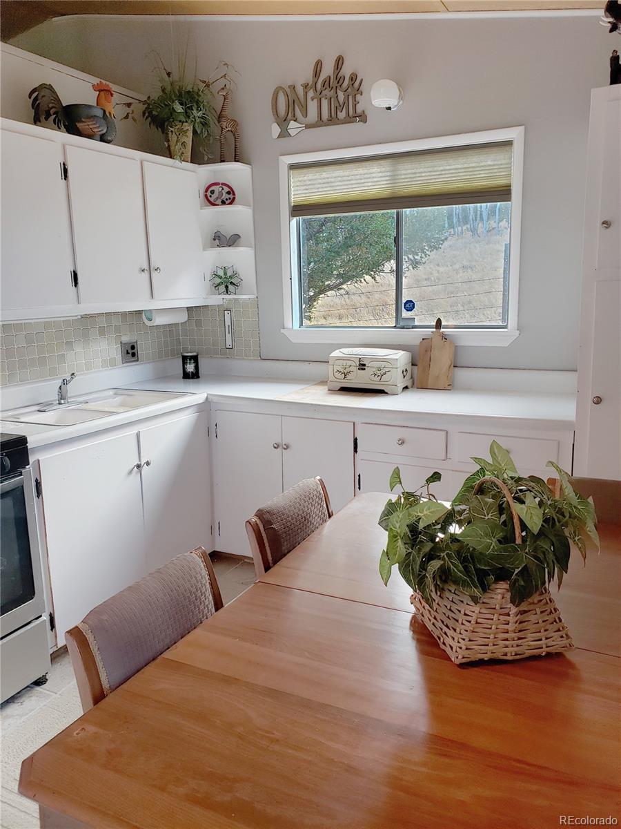MLS Image #8 for 121  broken arrow path,lake george, Colorado