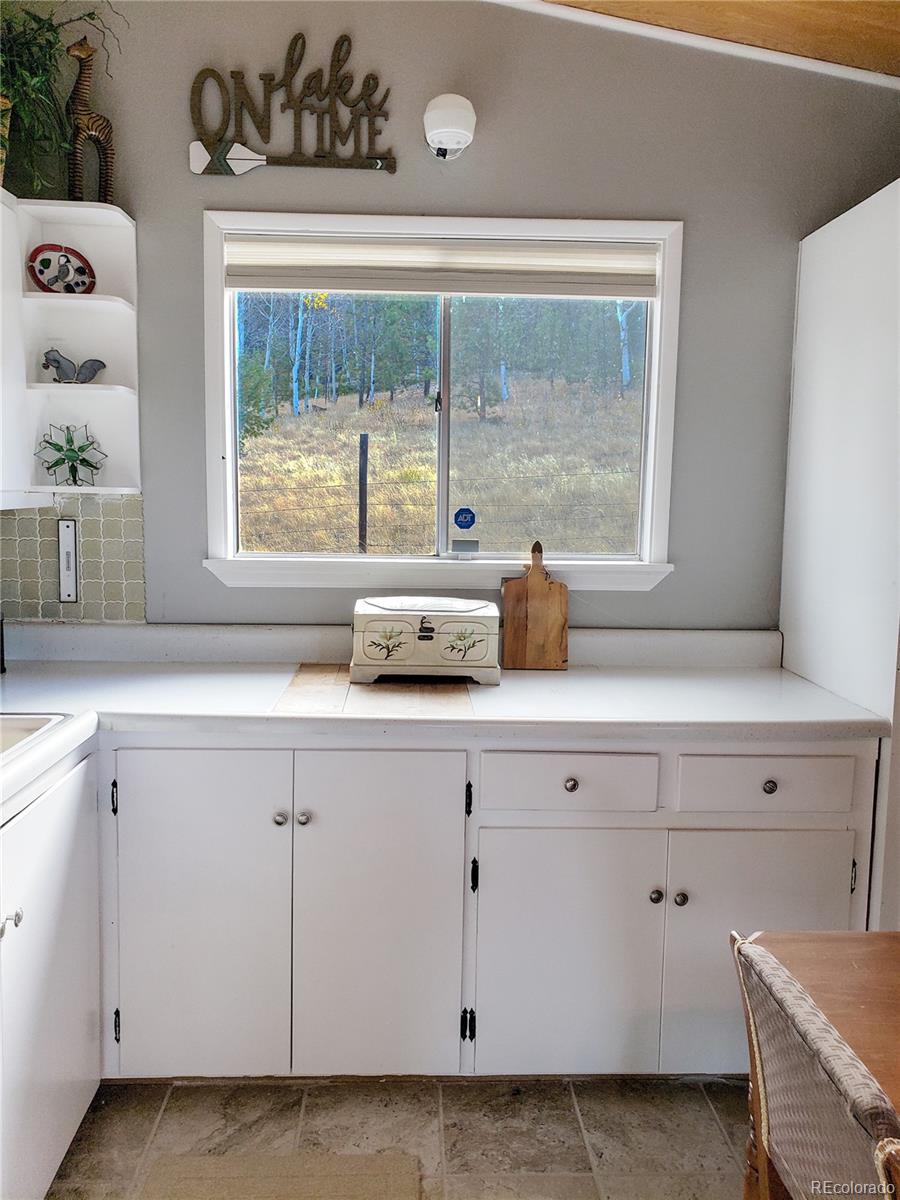MLS Image #9 for 121  broken arrow path,lake george, Colorado