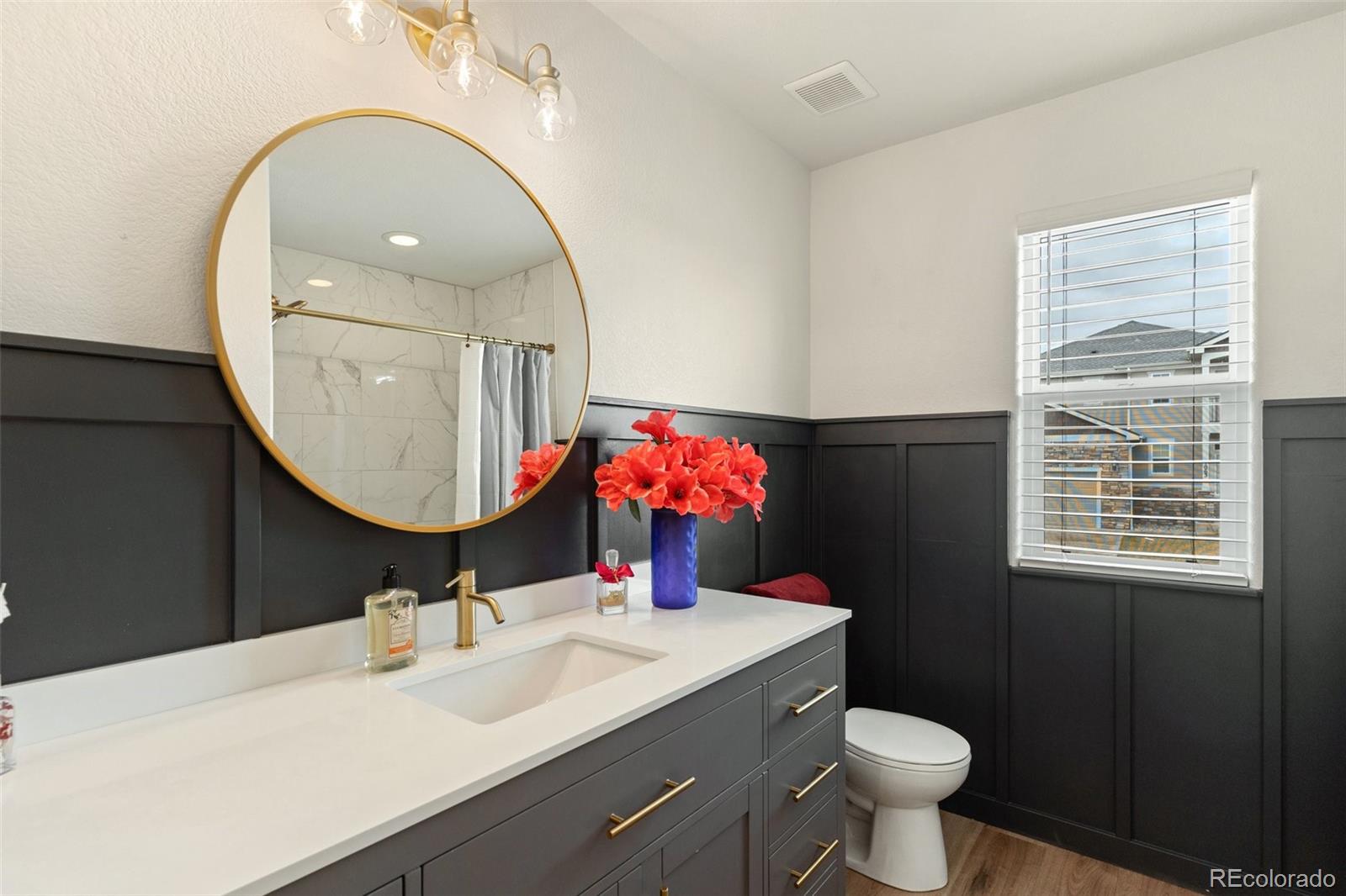 MLS Image #6 for 977  salmon pond way,colorado springs, Colorado