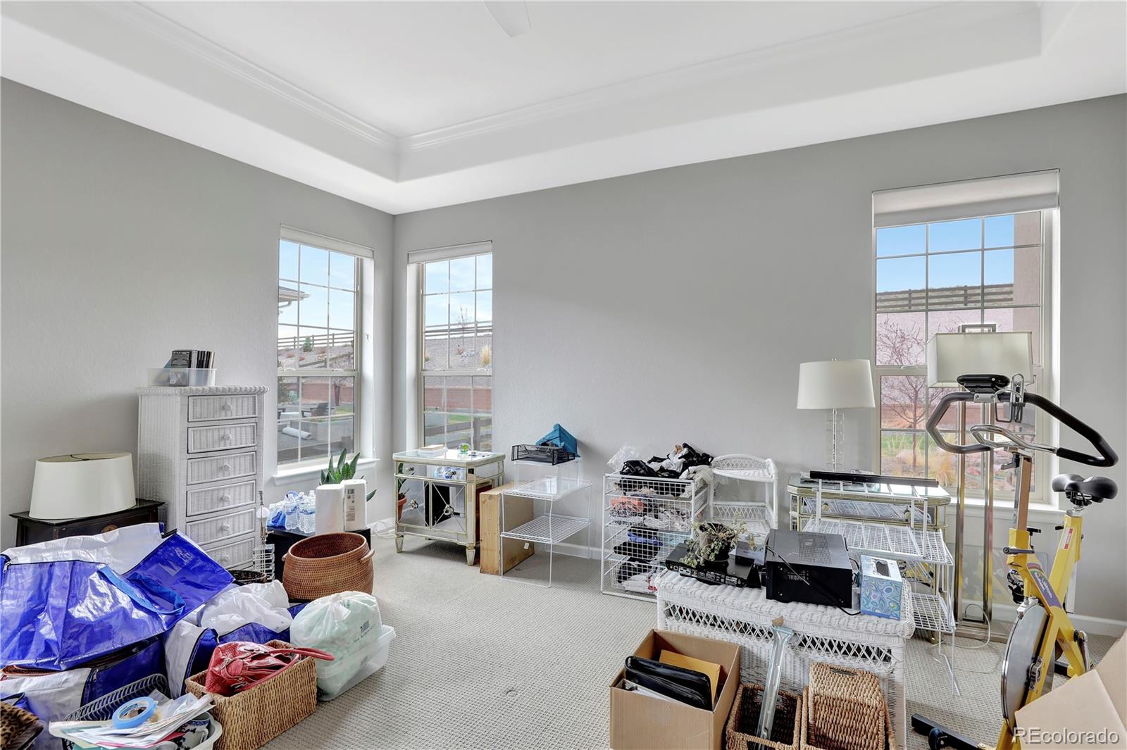 MLS Image #15 for 11950  mosey court,parker, Colorado