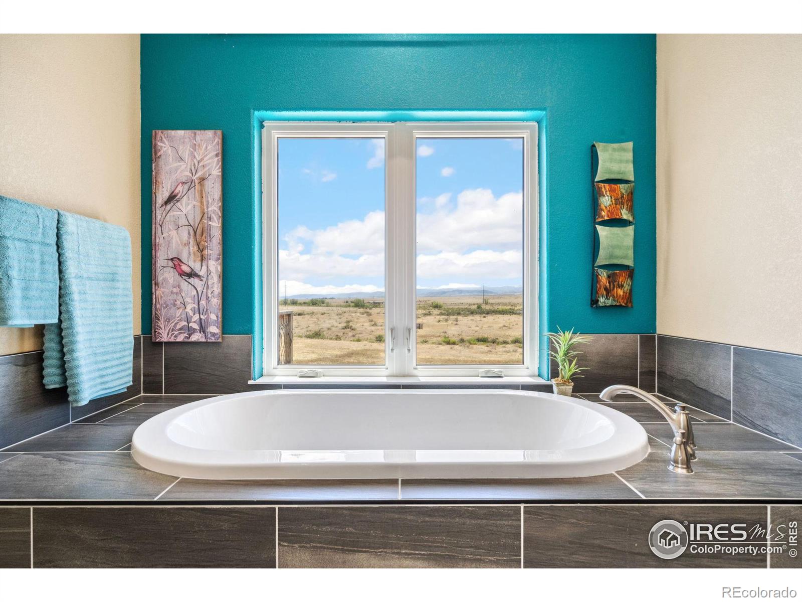 MLS Image #13 for 19672  rawhide flats road,wellington, Colorado