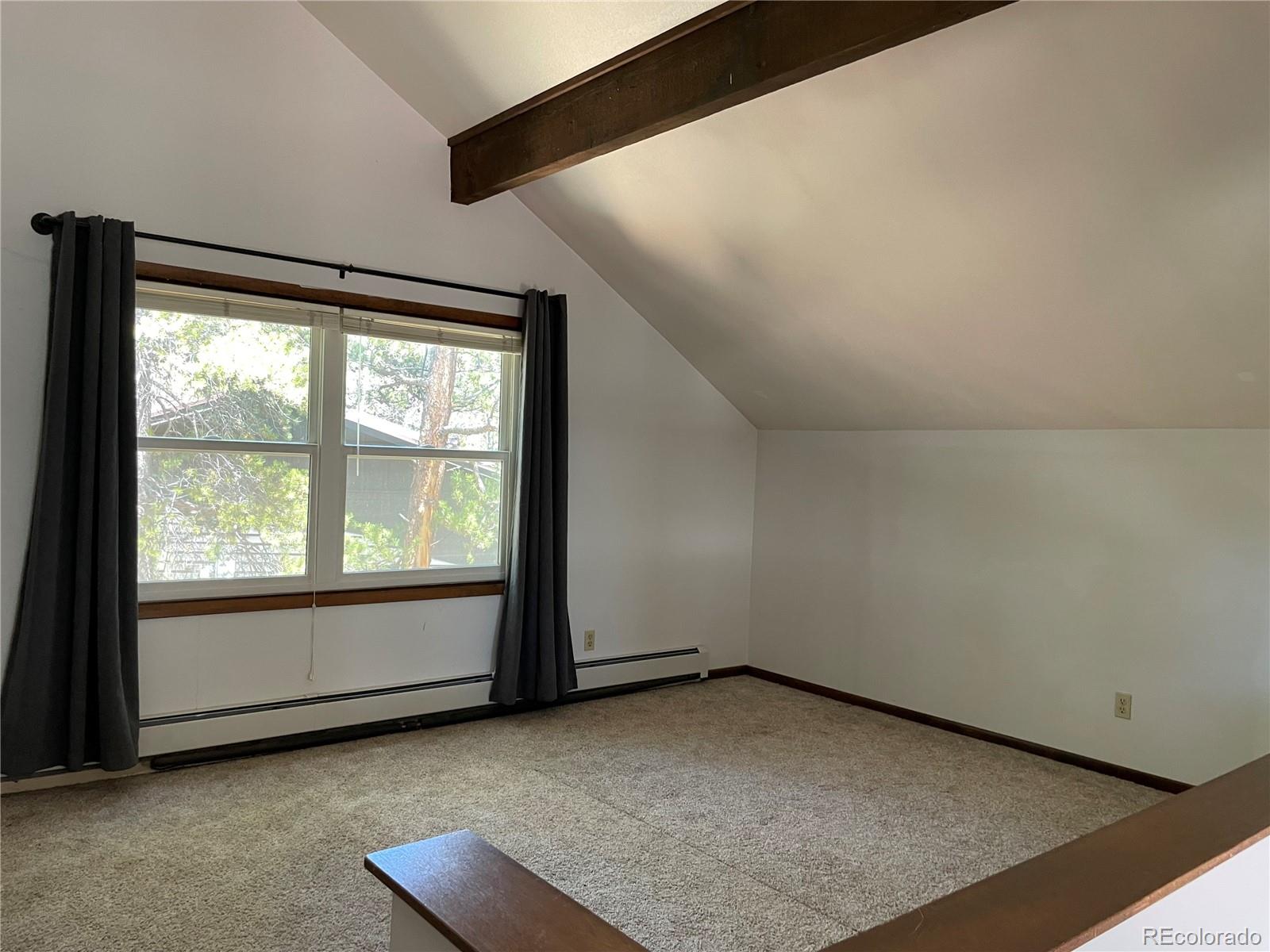 MLS Image #19 for 1820  silver eagle court,leadville, Colorado