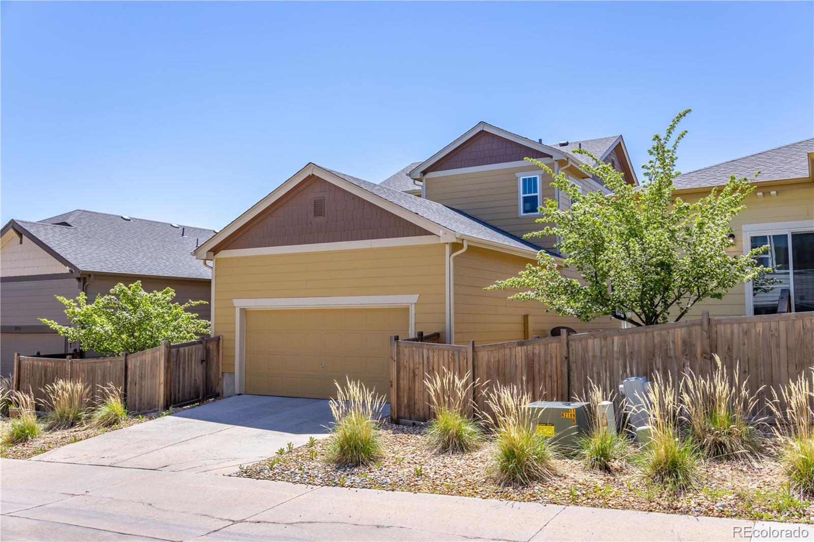 MLS Image #39 for 3793  cadence drive,castle rock, Colorado