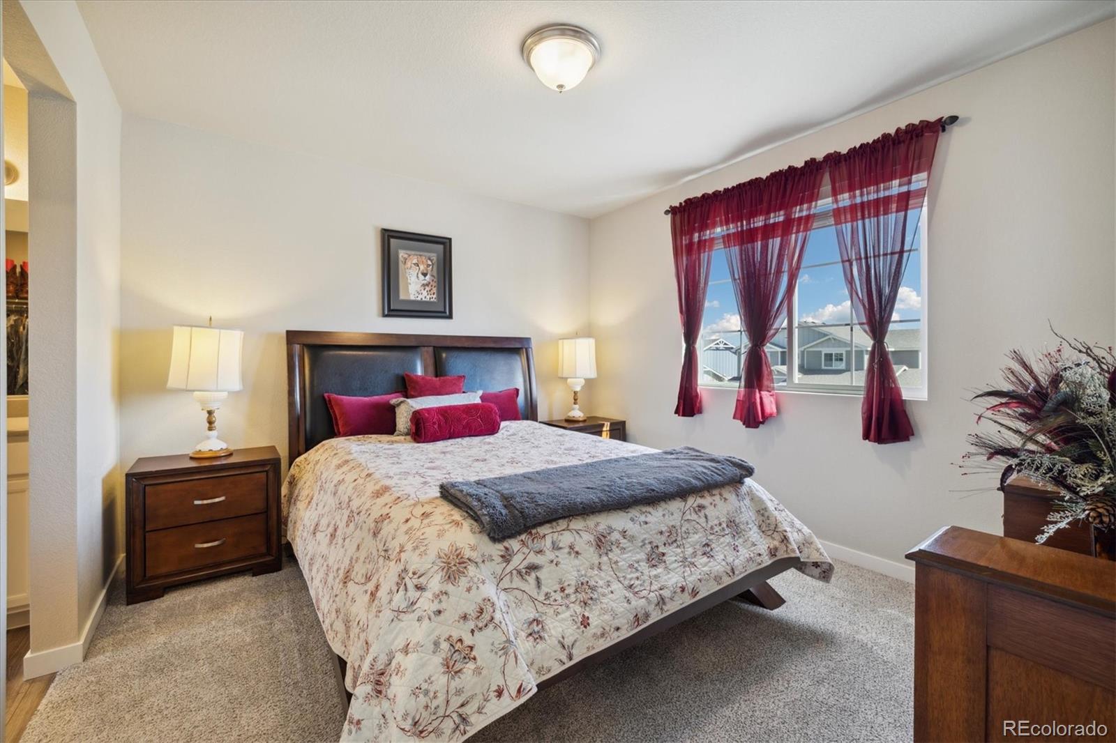 MLS Image #22 for 1136  ibex drive,severance, Colorado