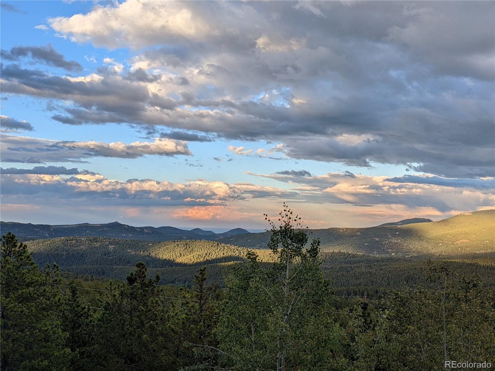 MLS Image #14 for 8691 s warhawk road,conifer, Colorado