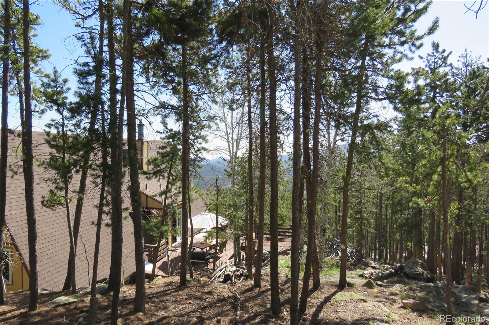 MLS Image #35 for 8691 s warhawk road,conifer, Colorado