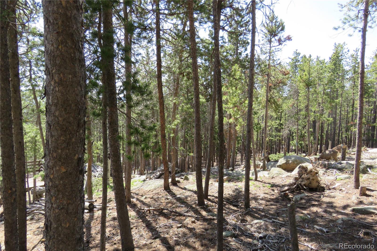 MLS Image #36 for 8691 s warhawk road,conifer, Colorado
