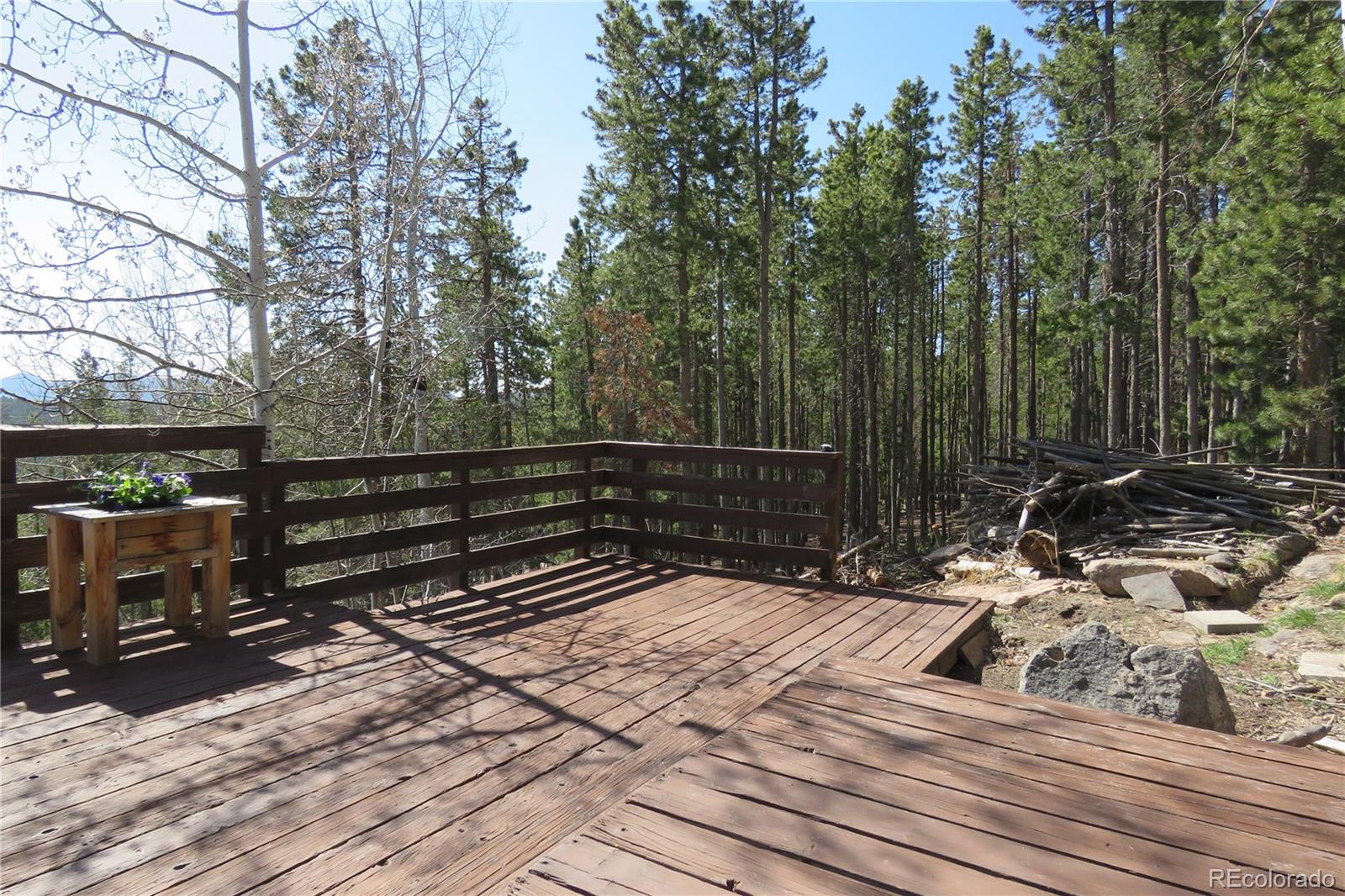 MLS Image #41 for 8691 s warhawk road,conifer, Colorado