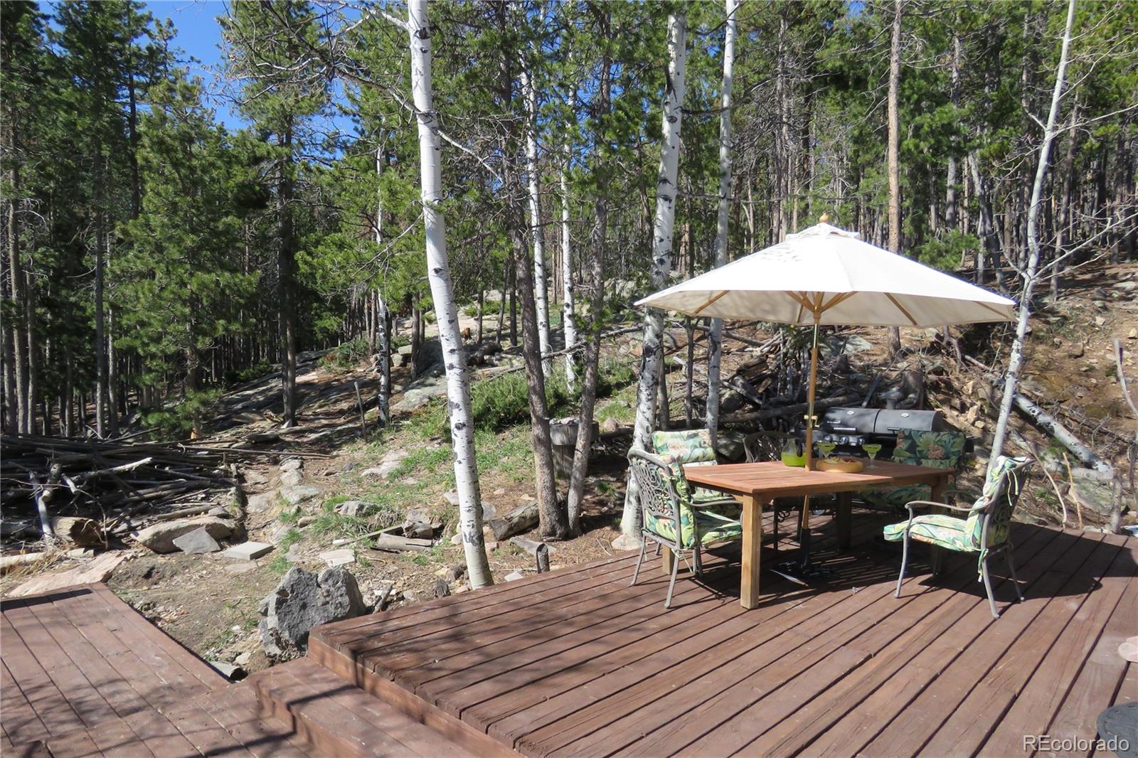 MLS Image #42 for 8691 s warhawk road,conifer, Colorado
