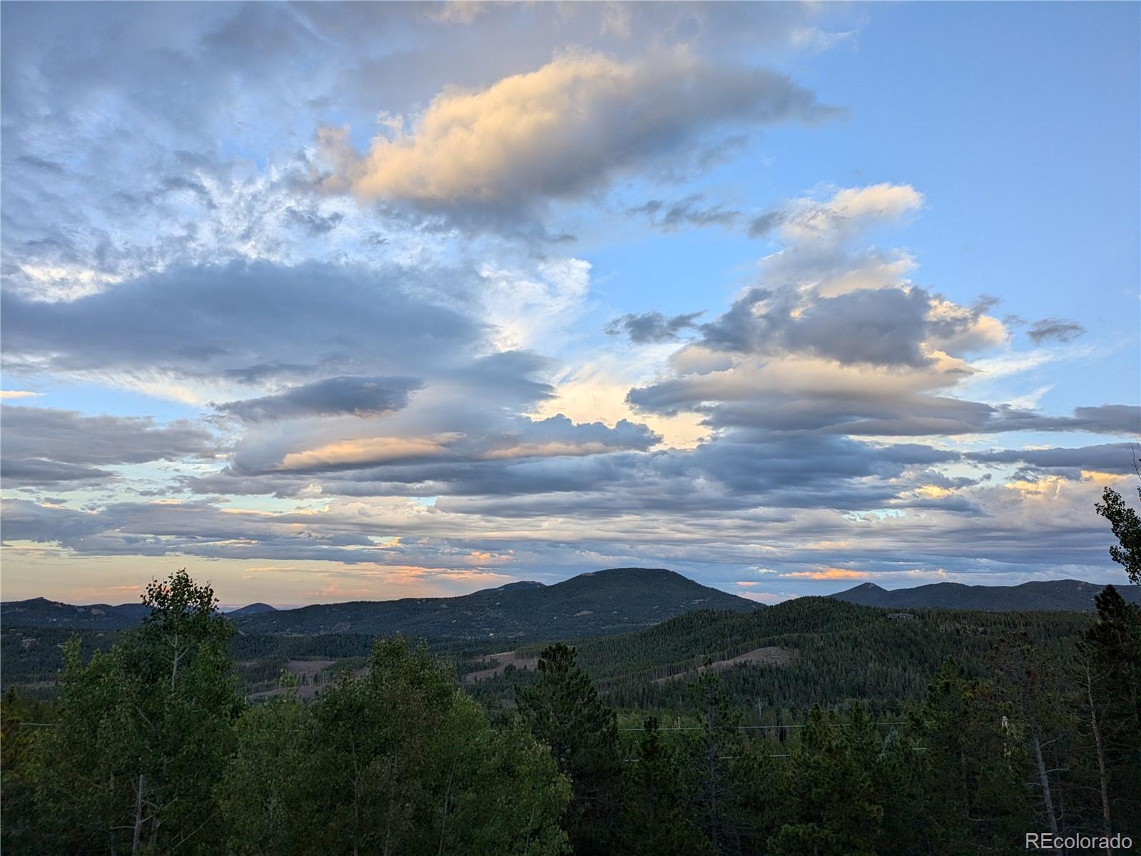 MLS Image #6 for 8691 s warhawk road,conifer, Colorado