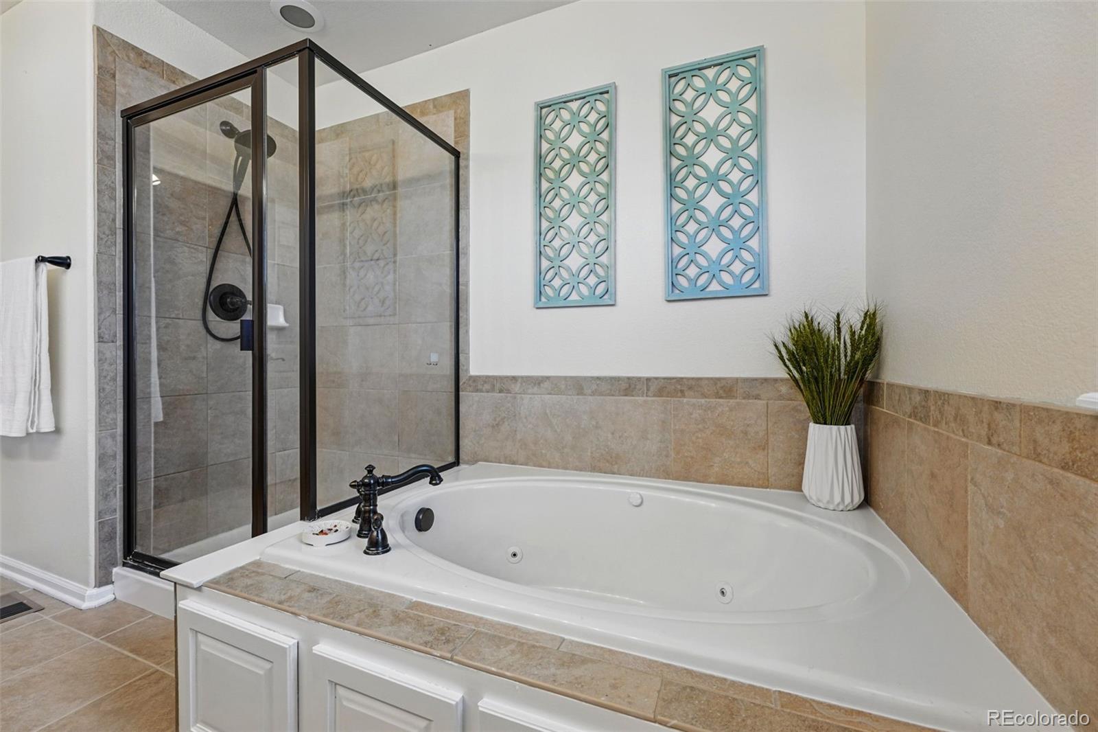 MLS Image #23 for 12996  banyon circle,parker, Colorado