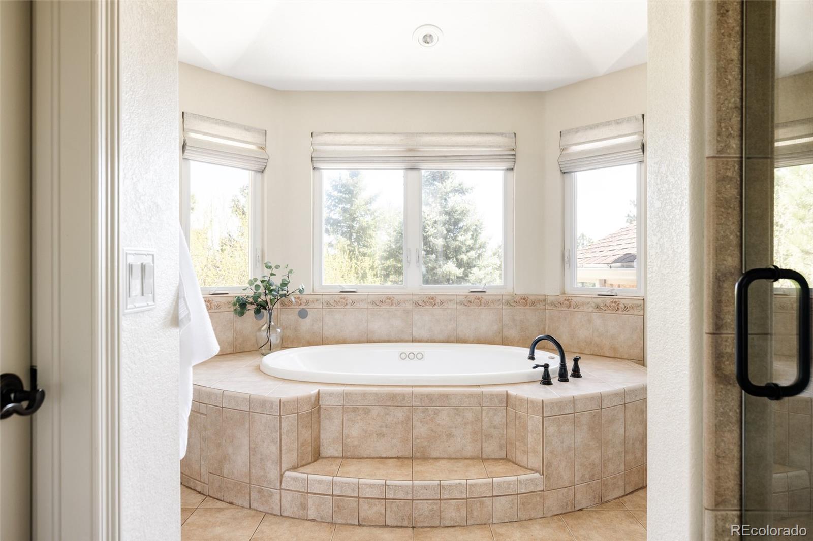 MLS Image #18 for 5184  pinyon jay road,parker, Colorado