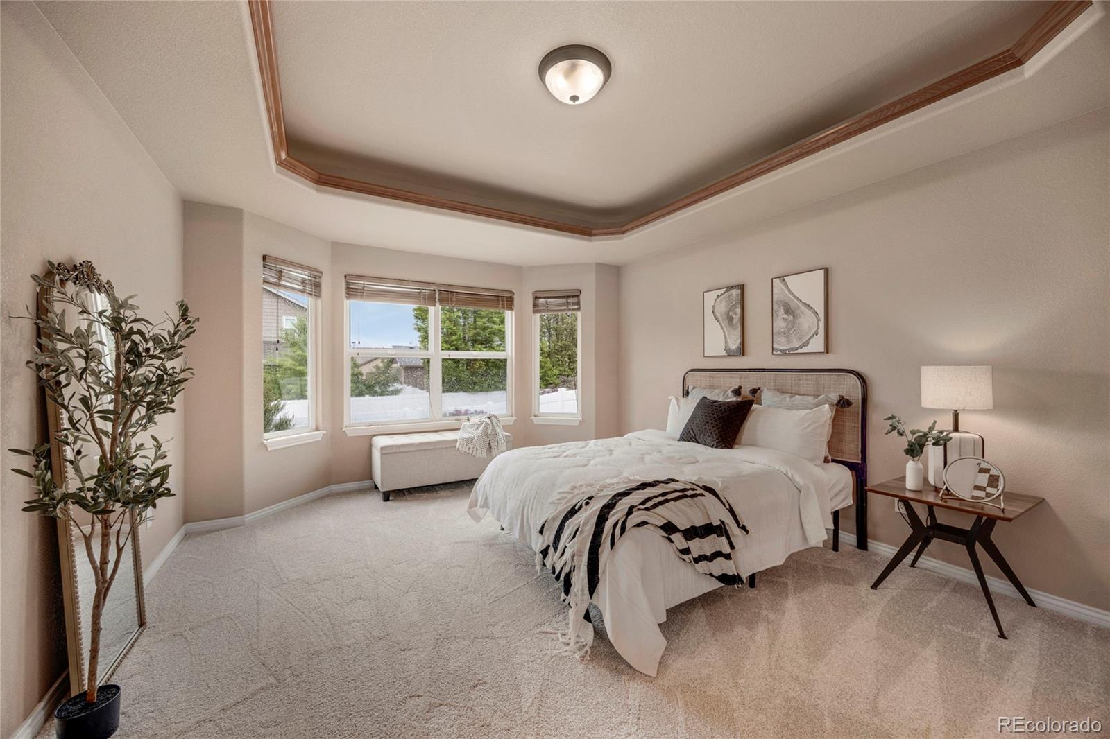 MLS Image #20 for 9040  grand mesa avenue,longmont, Colorado