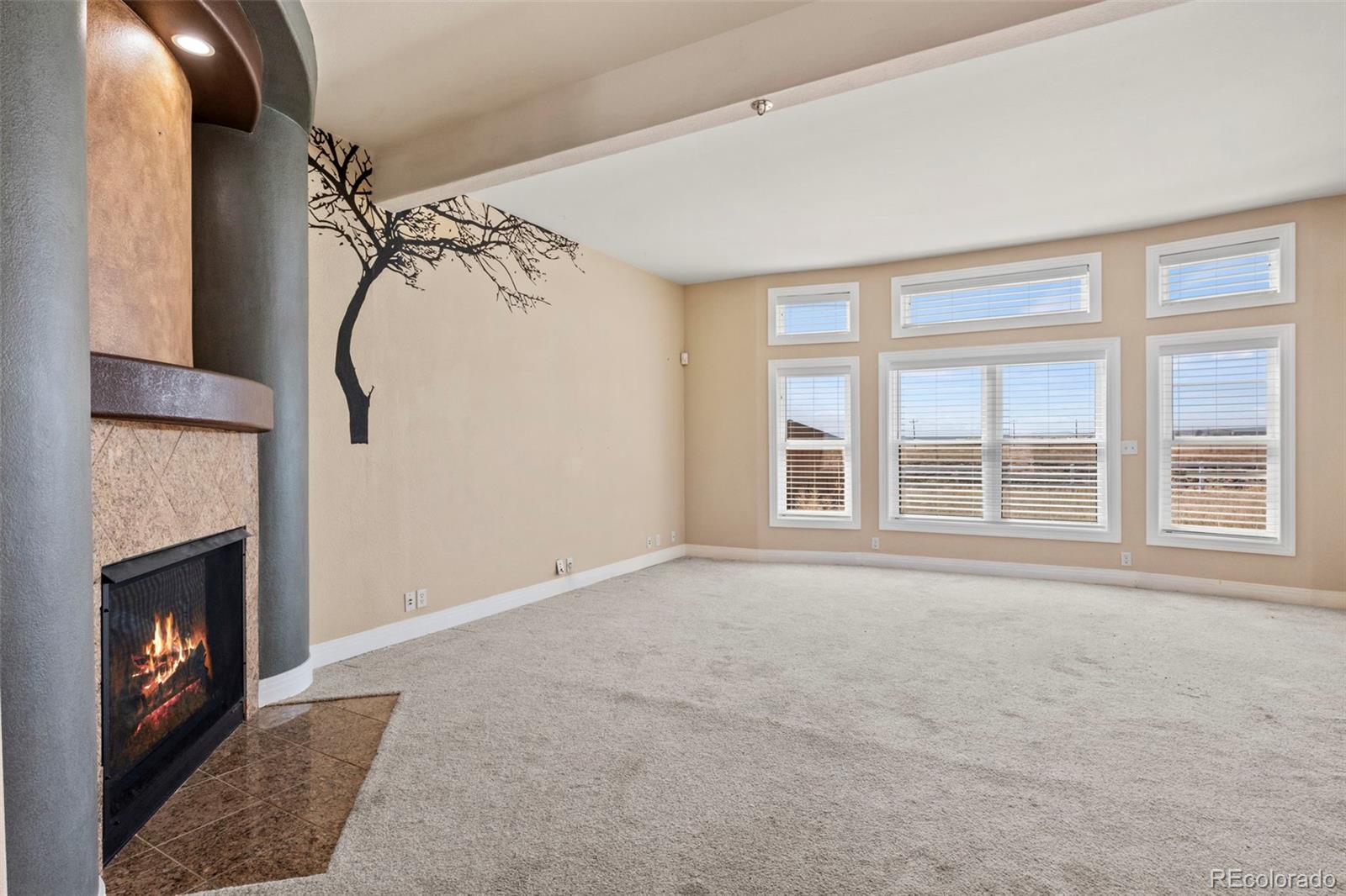 MLS Image #5 for 14975  tiboria loop,peyton, Colorado