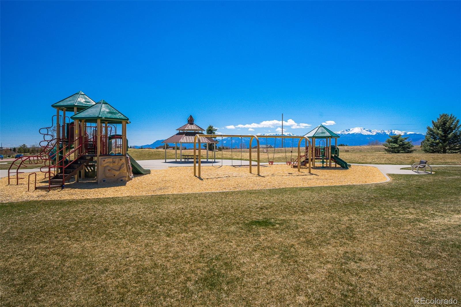 MLS Image #14 for 8666  ethan alley,colorado springs, Colorado
