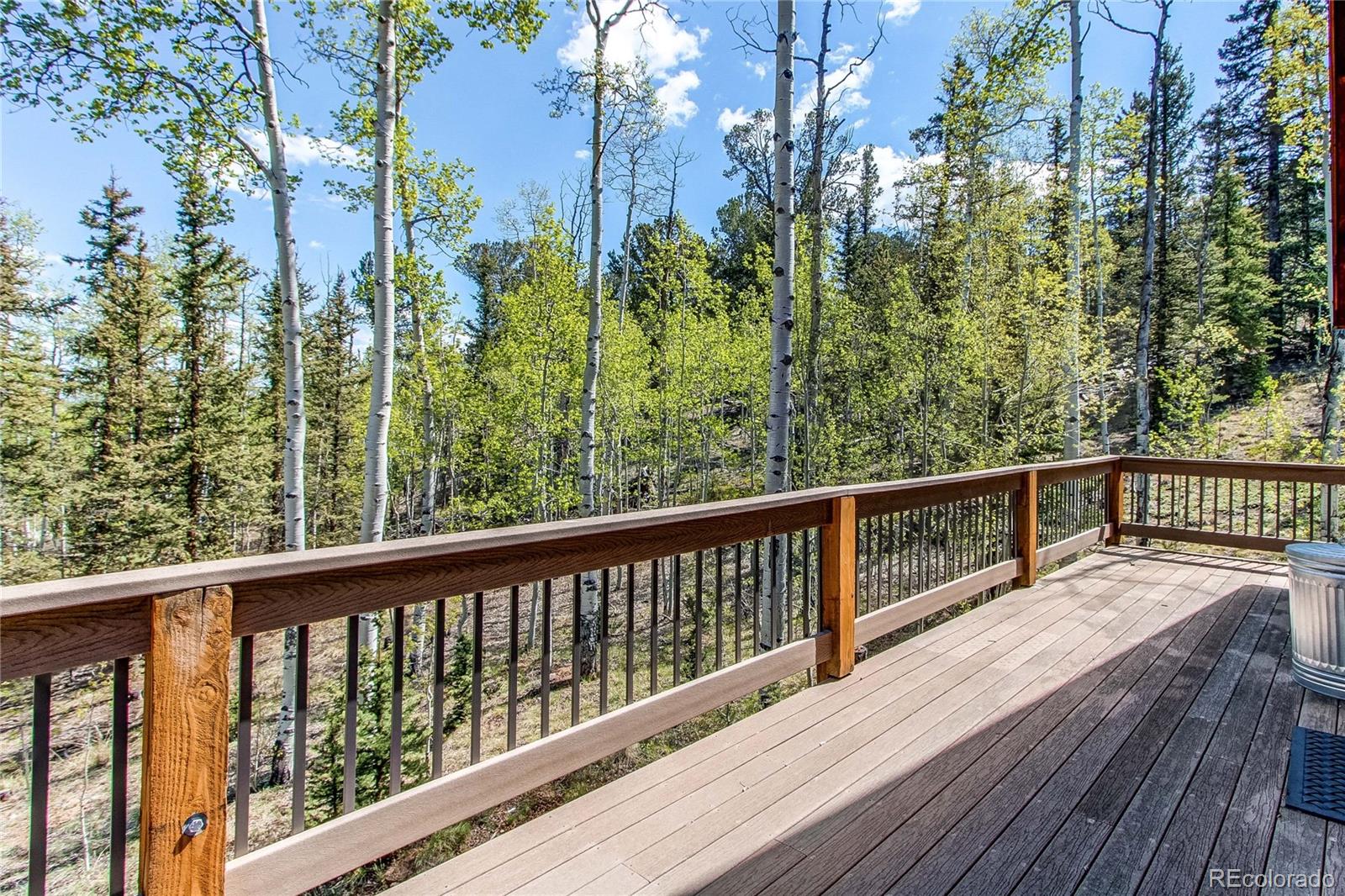 MLS Image #6 for 362  kite court,jefferson, Colorado