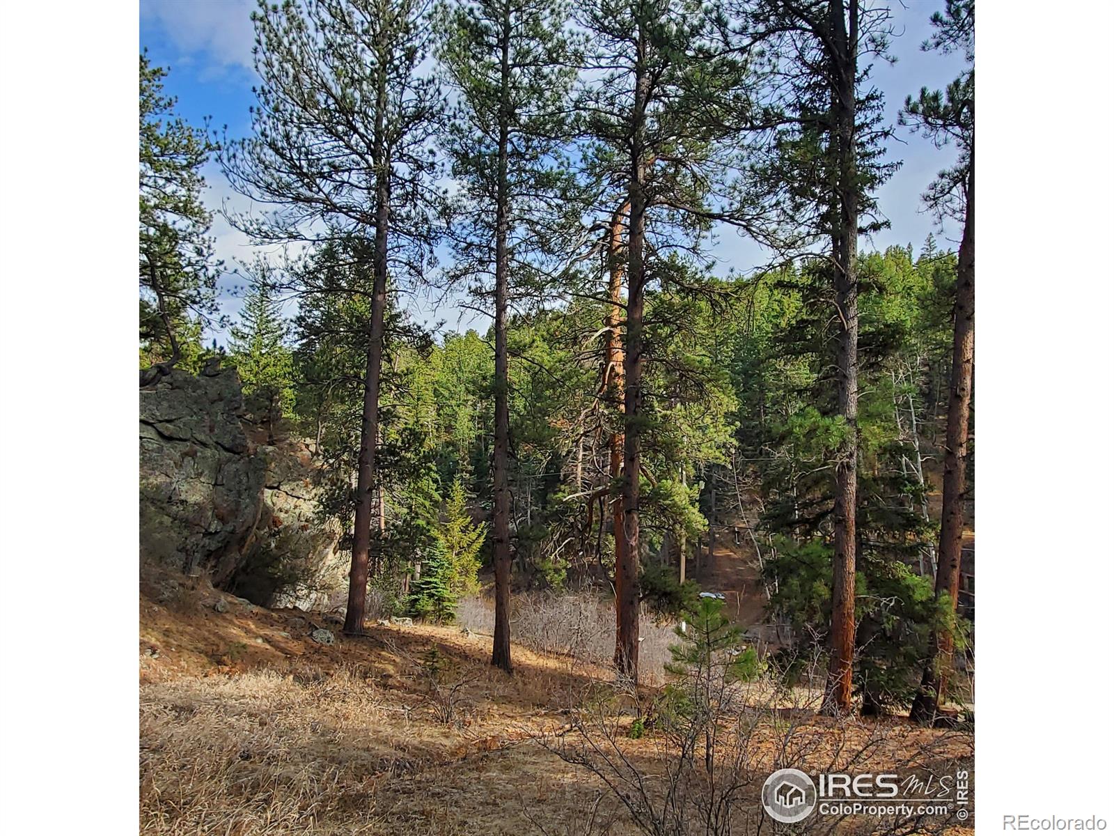 MLS Image #15 for 331  fox creek road,glen haven, Colorado