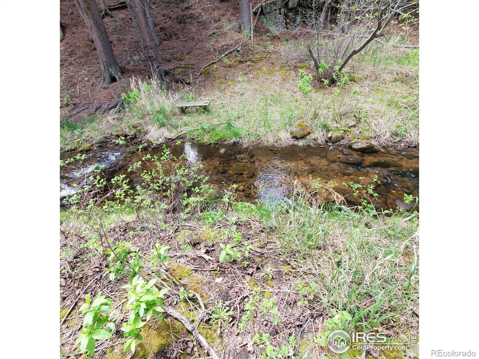 MLS Image #21 for 331  fox creek road,glen haven, Colorado