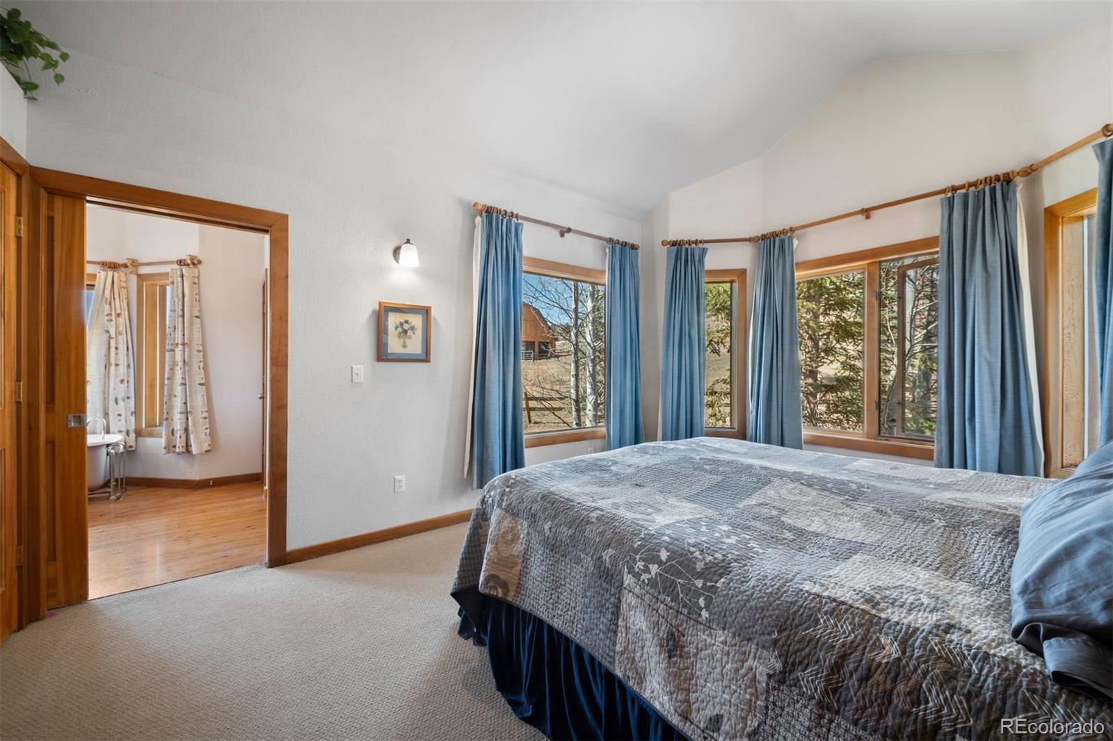 MLS Image #11 for 1740  county road 72 ,bailey, Colorado