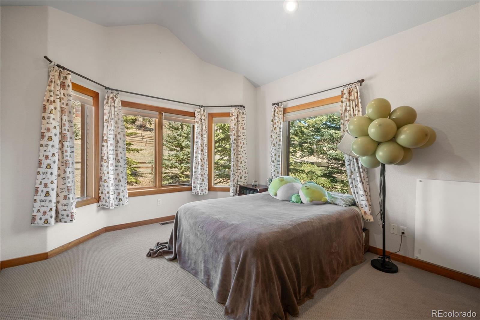 MLS Image #14 for 1740  county road 72 ,bailey, Colorado
