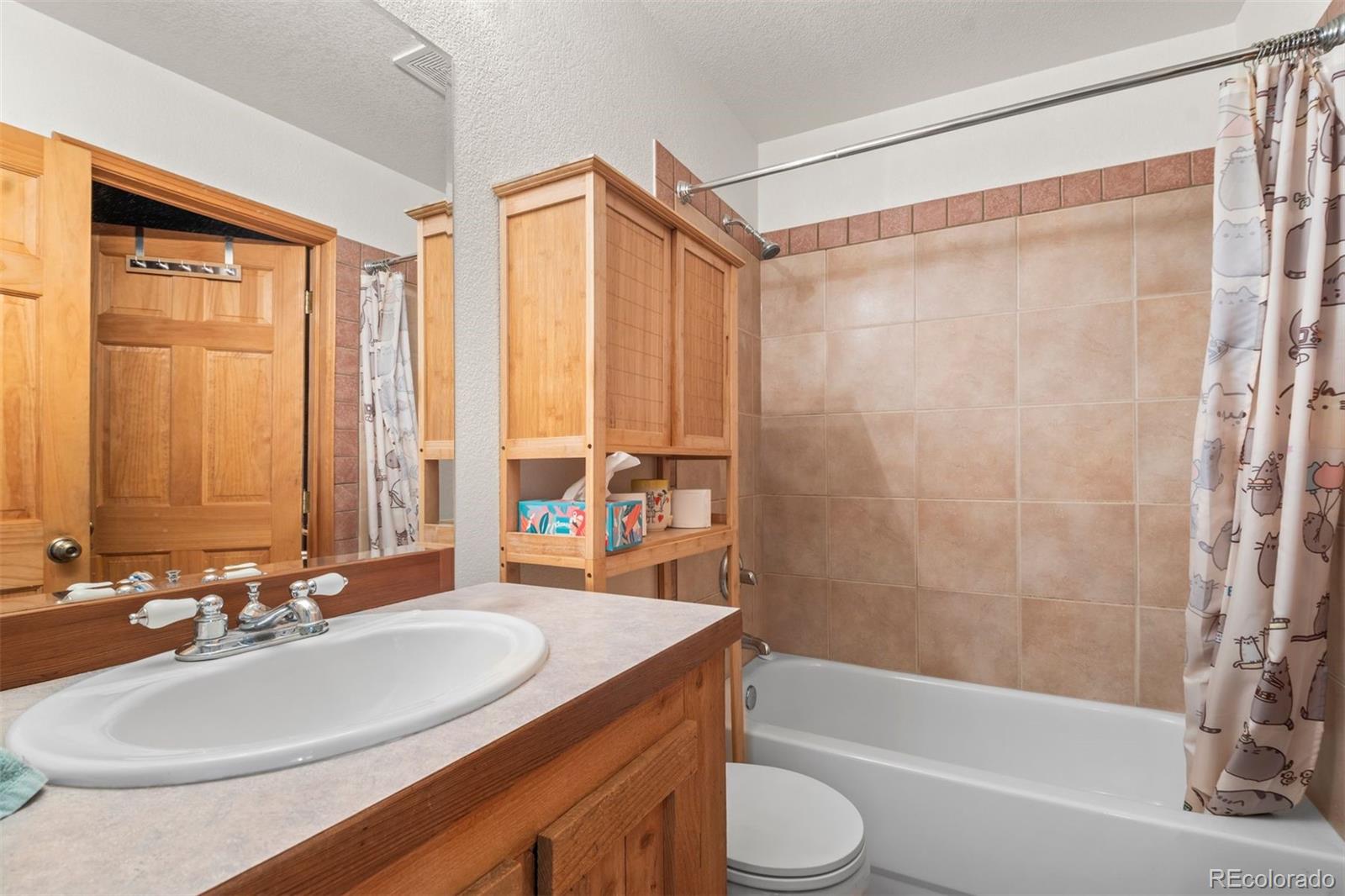 MLS Image #21 for 1740  county road 72 ,bailey, Colorado