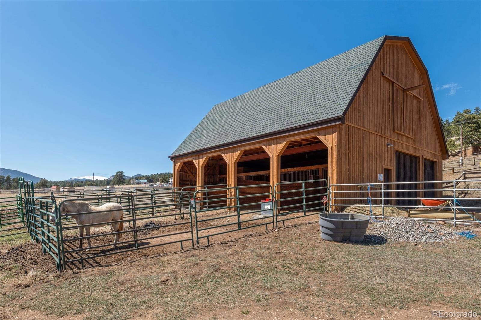 MLS Image #23 for 1740  county road 72 ,bailey, Colorado