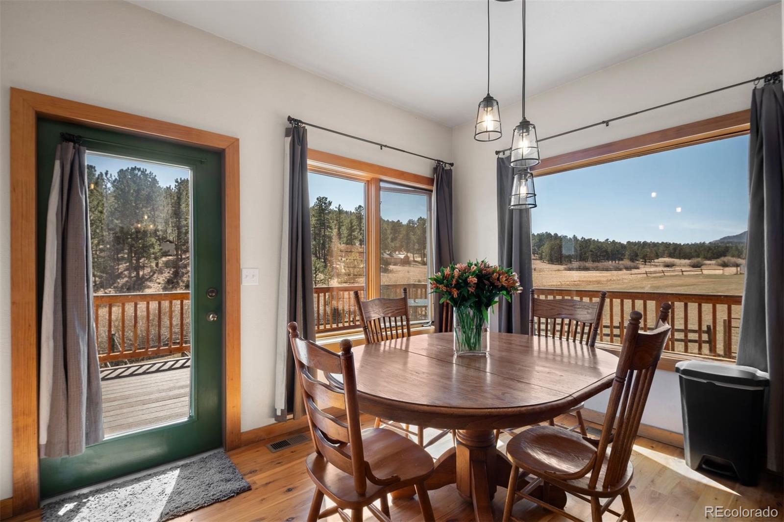 MLS Image #5 for 1740  county road 72 ,bailey, Colorado