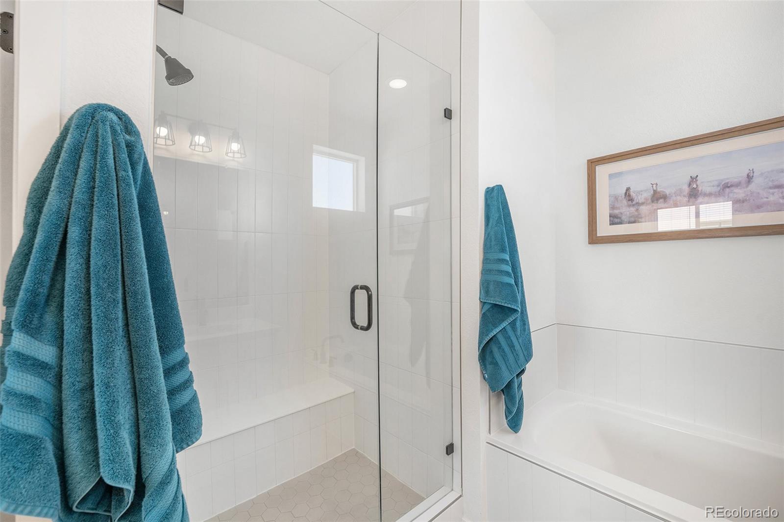 MLS Image #15 for 7889  yampa river avenue ,littleton, Colorado