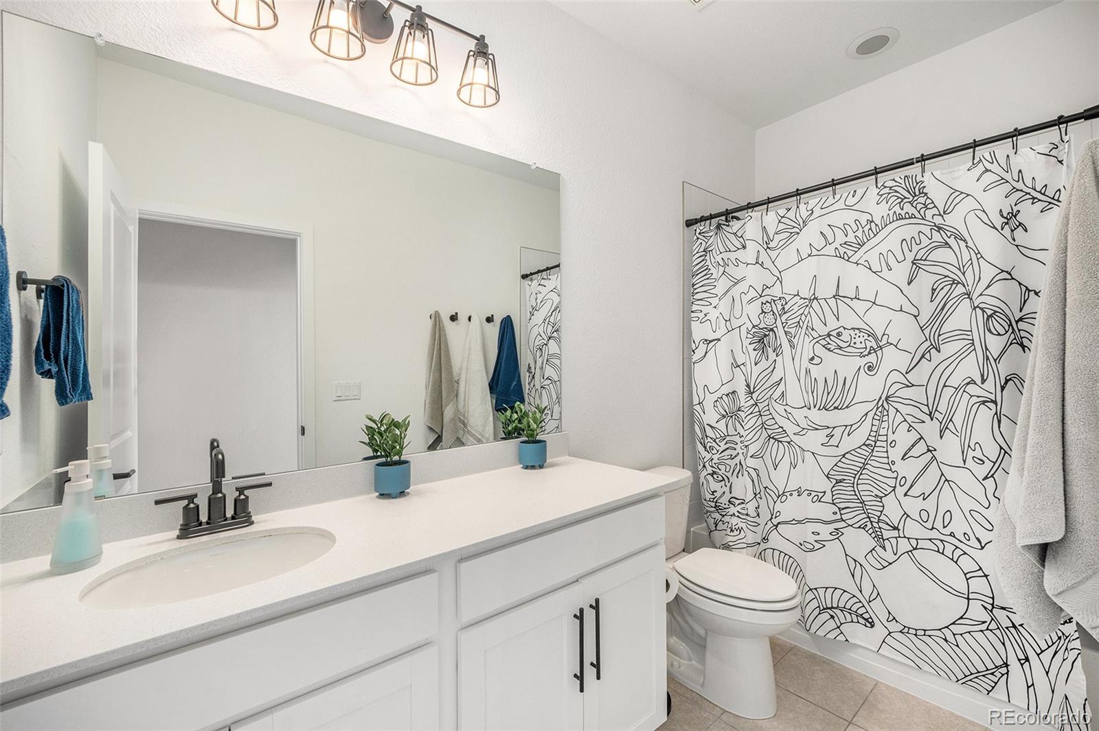 MLS Image #17 for 7889  yampa river avenue ,littleton, Colorado