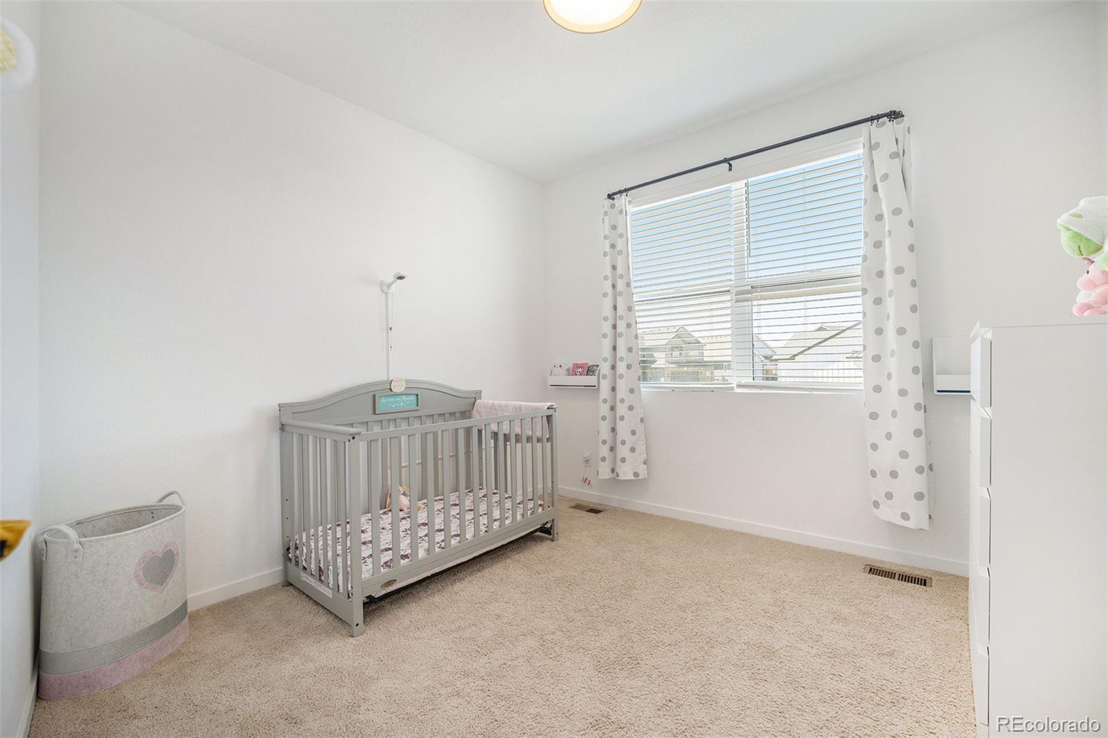MLS Image #18 for 7889  yampa river avenue ,littleton, Colorado